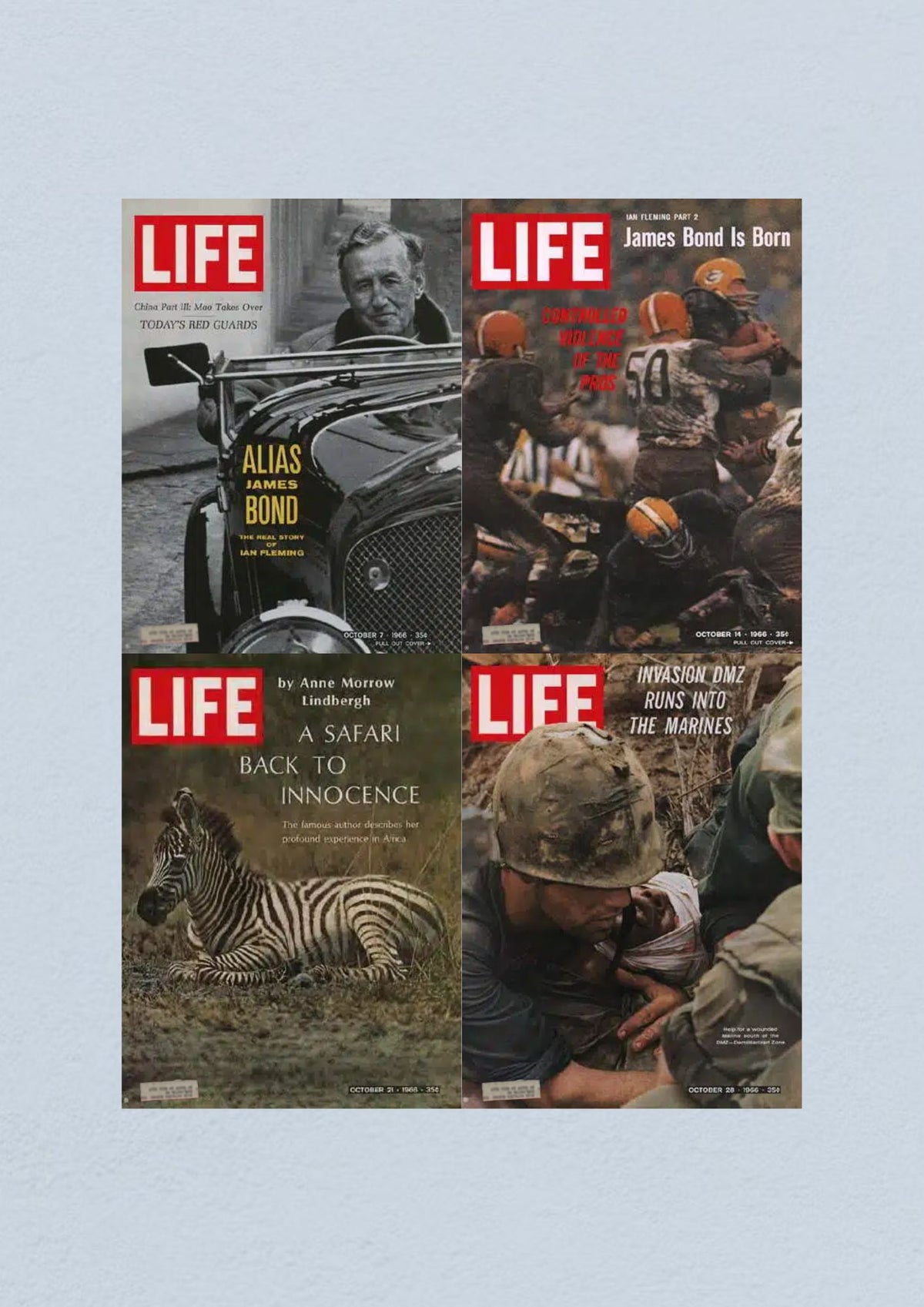 Life Magazine Cover October 28, 1966 concluding the month with articles about the arts, sports, and the culture of the 1960s.