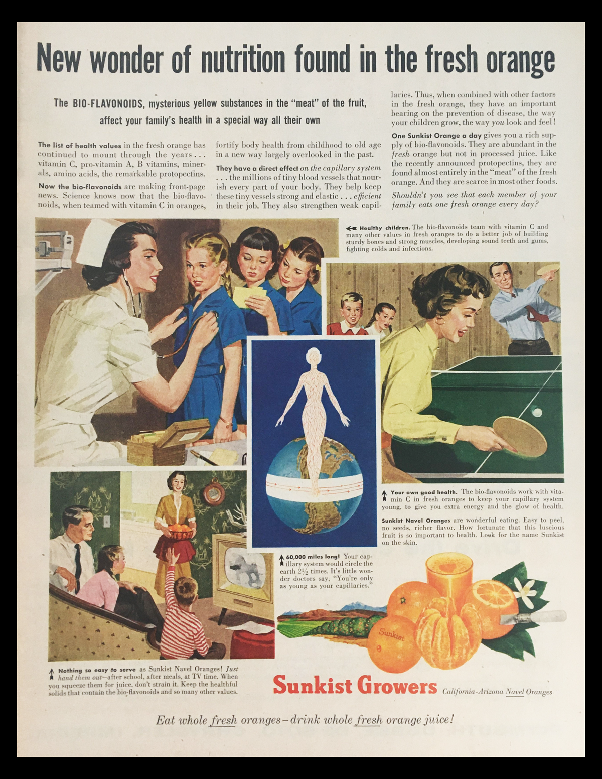 1956 Sunkist Growers Navel Oranges Vintage Print Ad featuring a colorful illustration showcasing the nutritional benefits of navel oranges. The ad highlights various family activities and promotes Sunkist's quality fresh oranges.