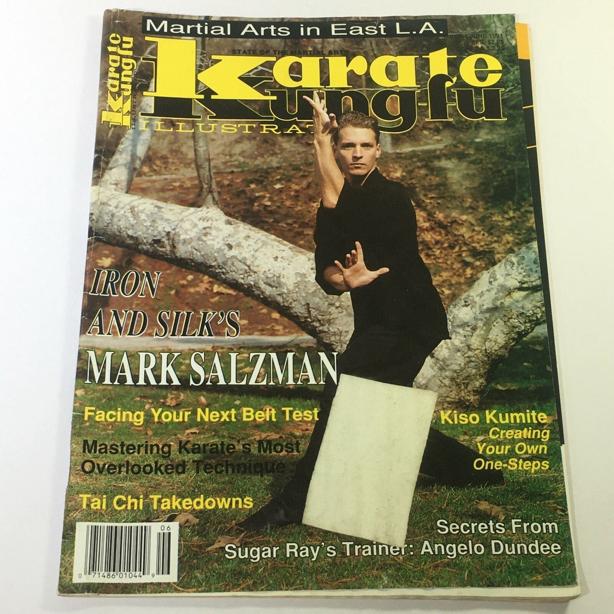 Cover of Karate Kung Fu Illustrated Magazine June 1991 featuring Mark Salzman, showcasing martial arts techniques and articles including 'Iron and Silk'.