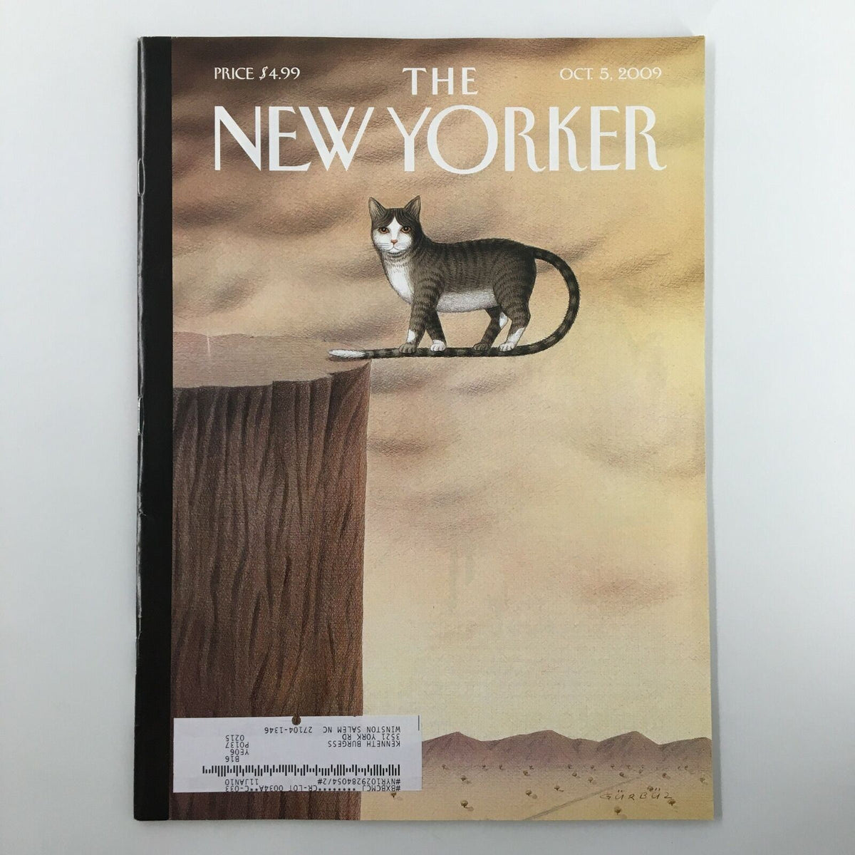 The New Yorker Full Magazine October 5 2009 cover featuring artistic illustration of a cat on the edge of a cliff, emphasizing the theme 'On the Edge'.