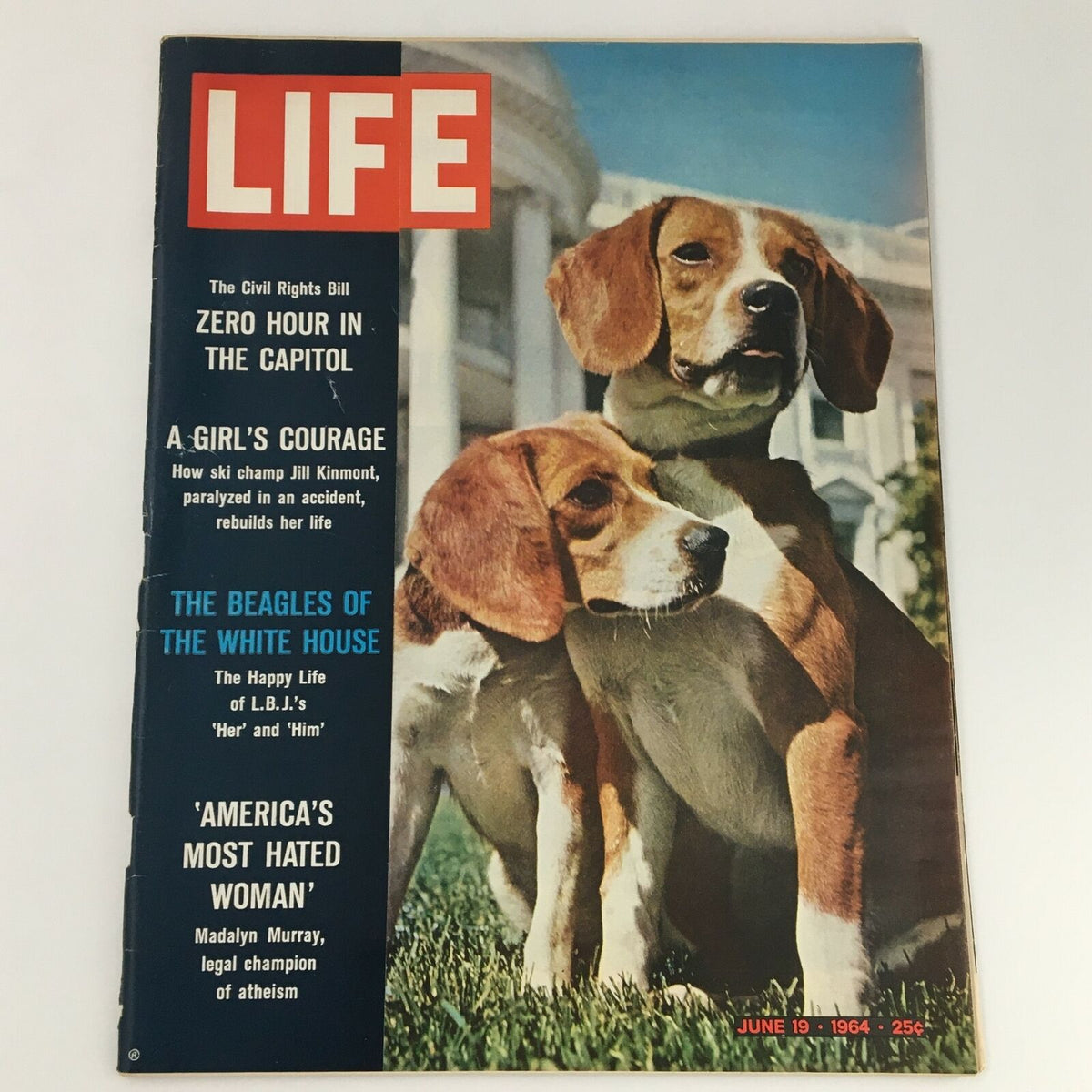 VTG Life Magazine June 19 1964 Cover featuring The President's Beagles, showcasing two beagle dogs on the White House lawn with a bright blue sky.