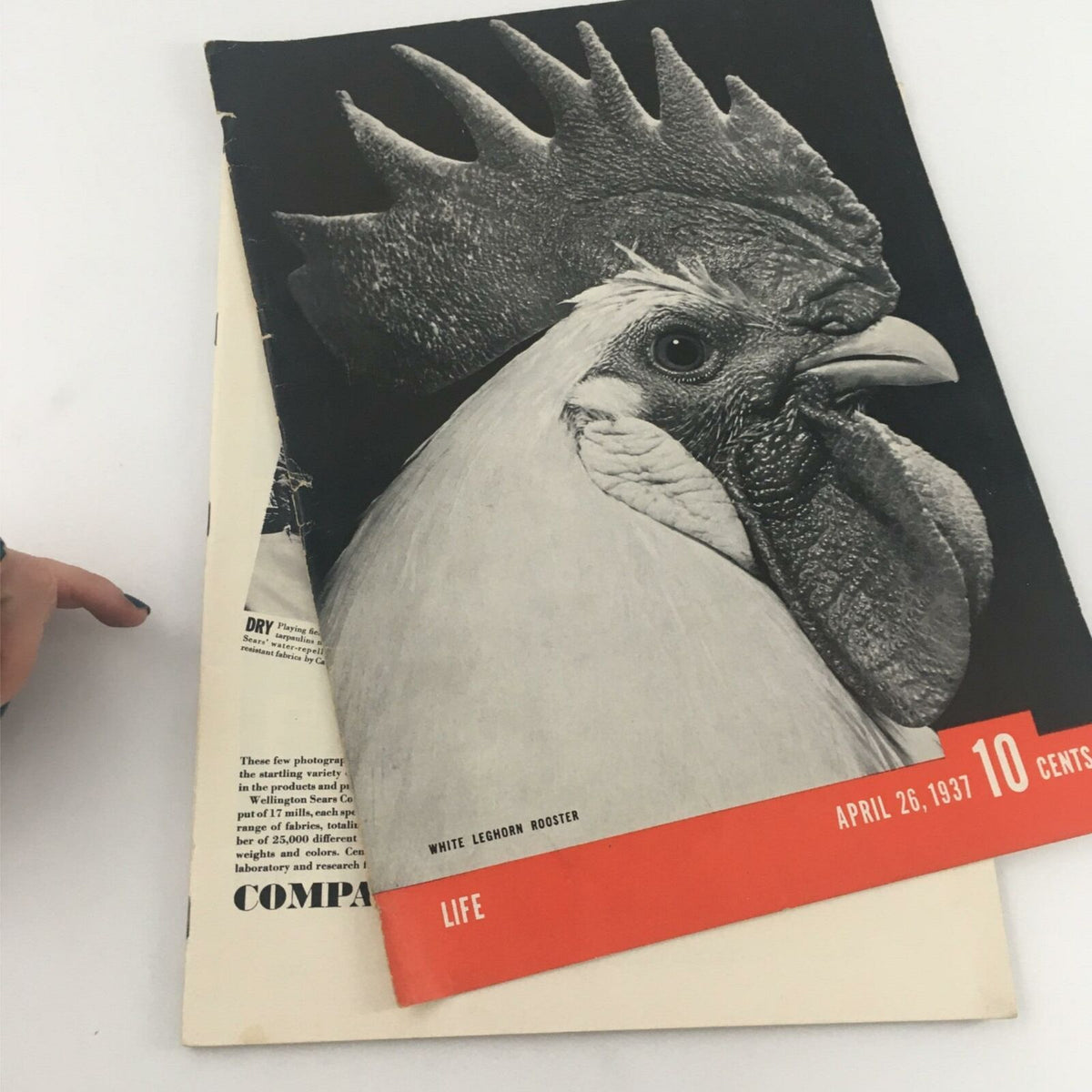 VTG Life Magazine from April 26, 1937 featuring a striking cover image of a White Leghorn Rooster, ideal for collectors and history enthusiasts.
