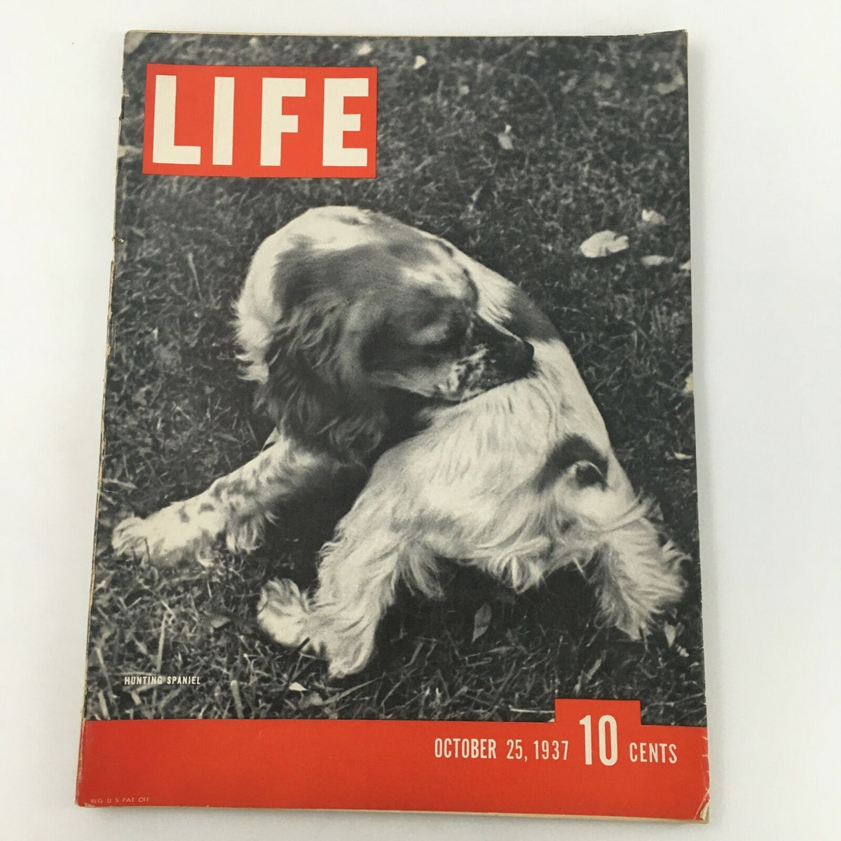 VTG Life Magazine October 25 1937 cover featuring a Hunting Cocker Spaniel, showcasing the dog in a black and white photograph with an iconic red LIFE title.