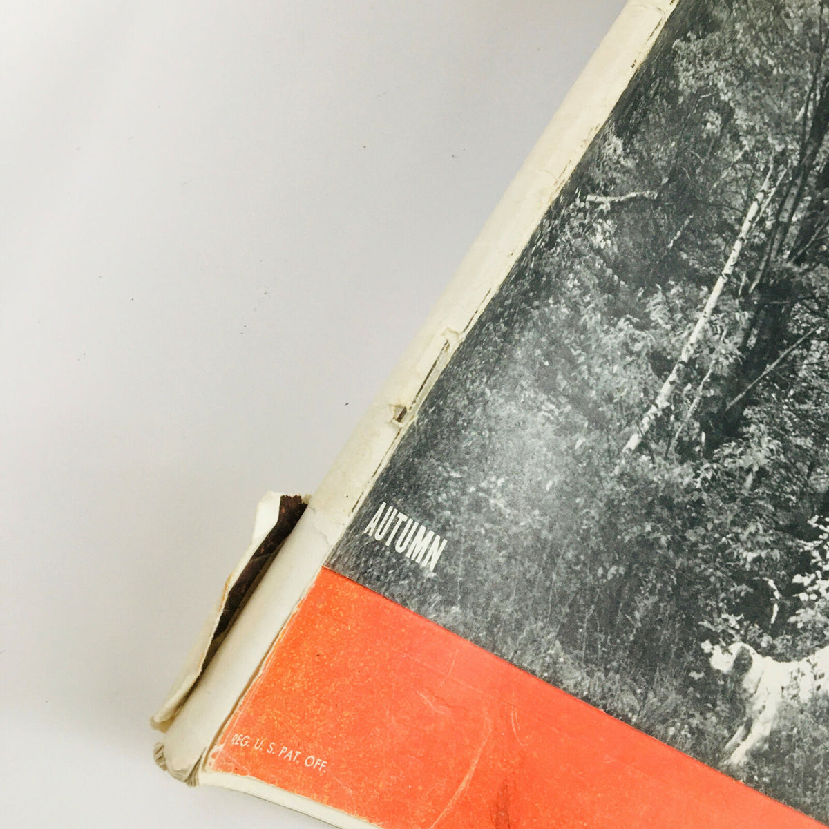 Close-up view of the side of the VTG Life Magazine October 29 1945, featuring a farmer and his dog in an autumn forest, showcasing the texture and condition of the vintage publication.