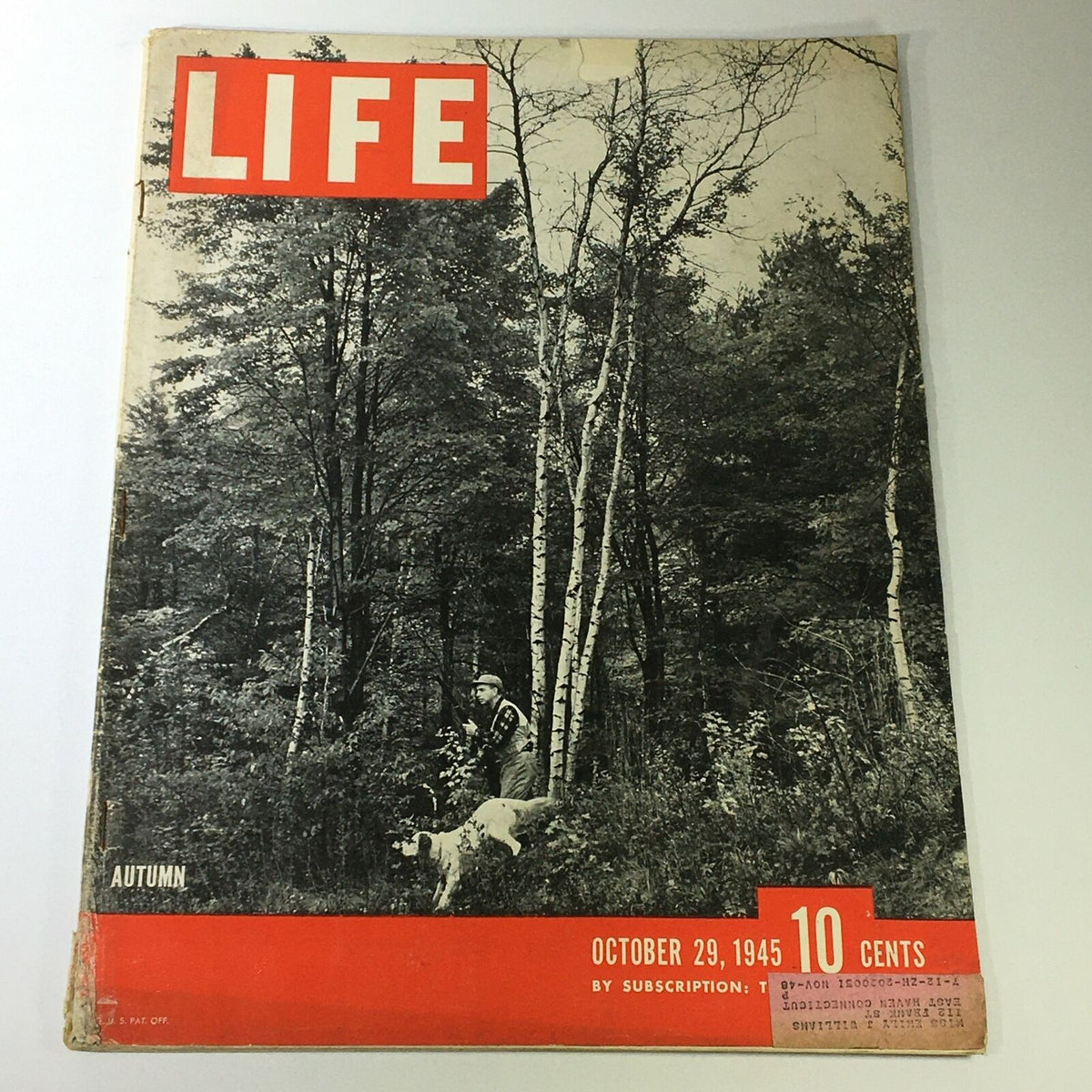VTG Life Magazine Cover from October 29, 1945 featuring an Autumn Forest theme with a man and dog, showcasing historical significance.