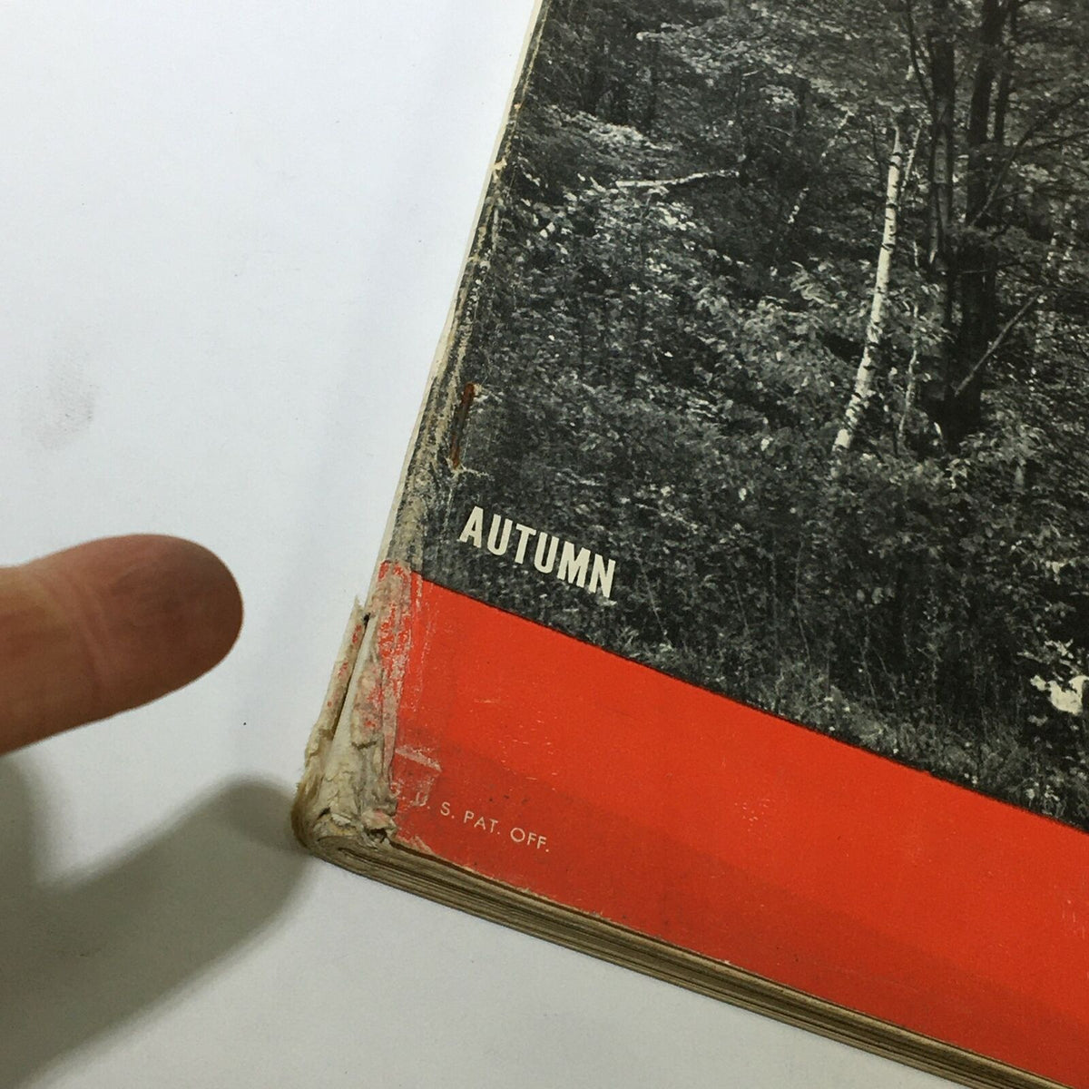 Side view of VTG Life Magazine from October 29, 1945 showing edge wear and the word 'AUTUMN' on the cover, reflecting its vintage condition.