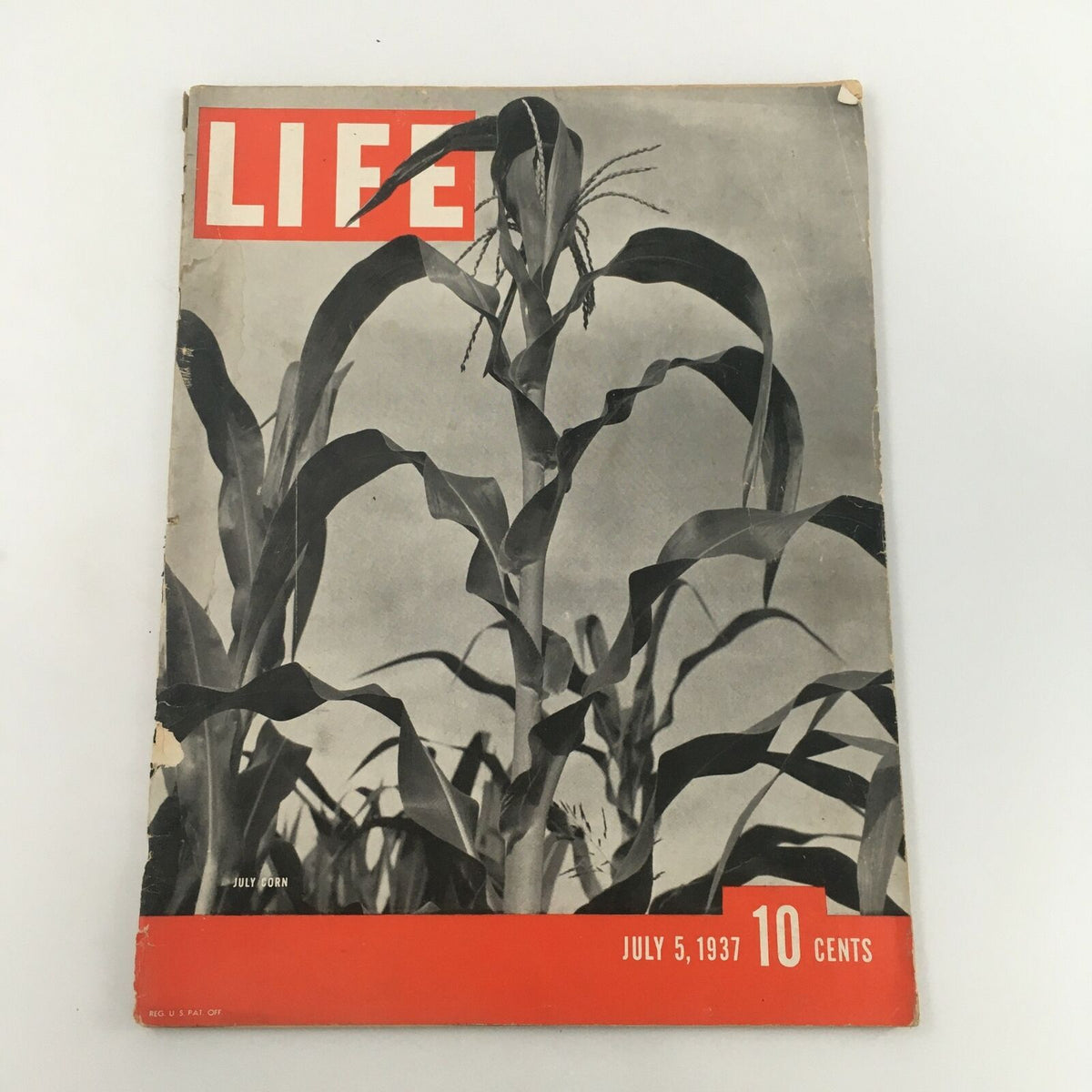 Vintage Life Magazine cover from July 5, 1937, featuring a striking black and white photograph of a corn field, illustrating the agricultural essence of rural America.