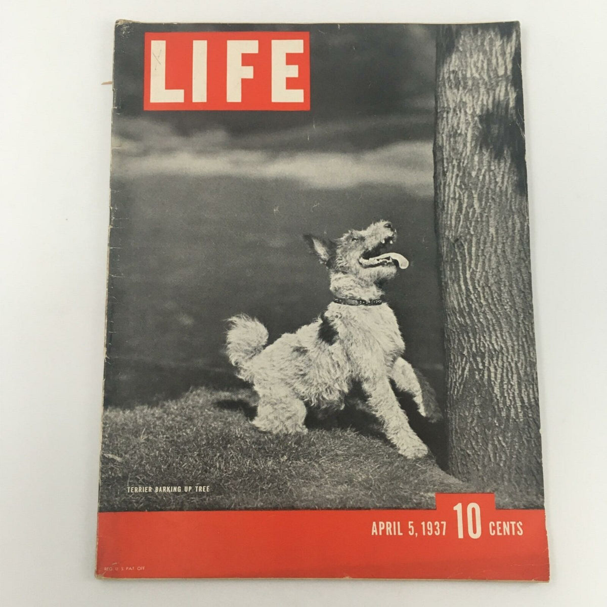 VTG Life Magazine April 5, 1937 featuring a Terrier on the cover, showcasing classic photography and design from the era.