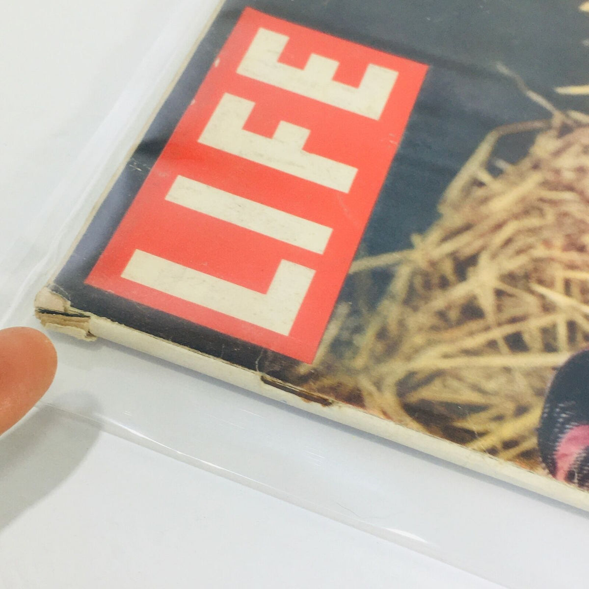 Close-up of the corner of the July 2, 1956 VTG Life Magazine, showing wear and tear on the cover featuring Stephanie Griffin, part of a historical edition focused on mid-20th century trends.