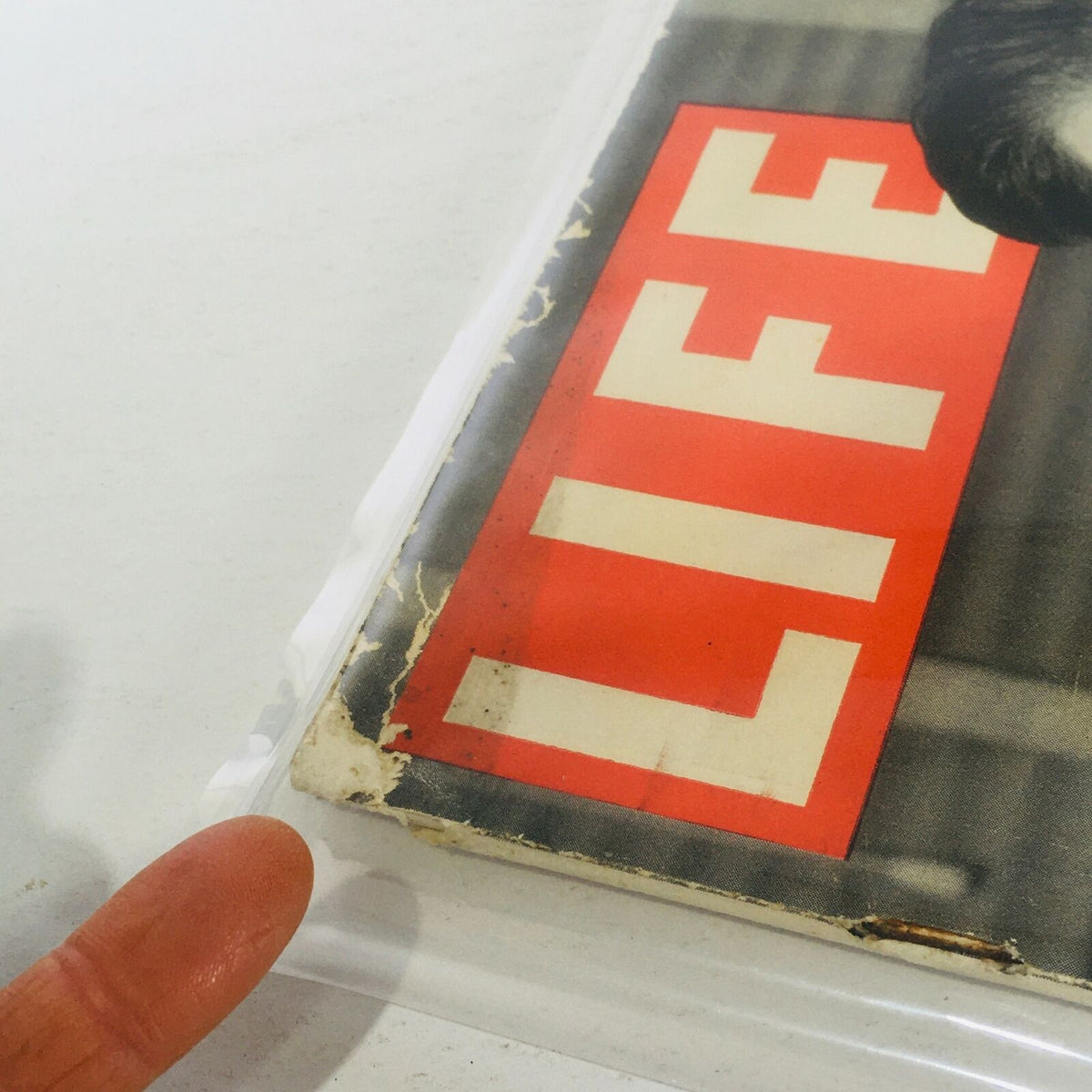 Close-up of Vintage Life Magazine Cover showing damage details, highlighting the wear on the edges and preservation in protective plastic, dated September 14, 1942.