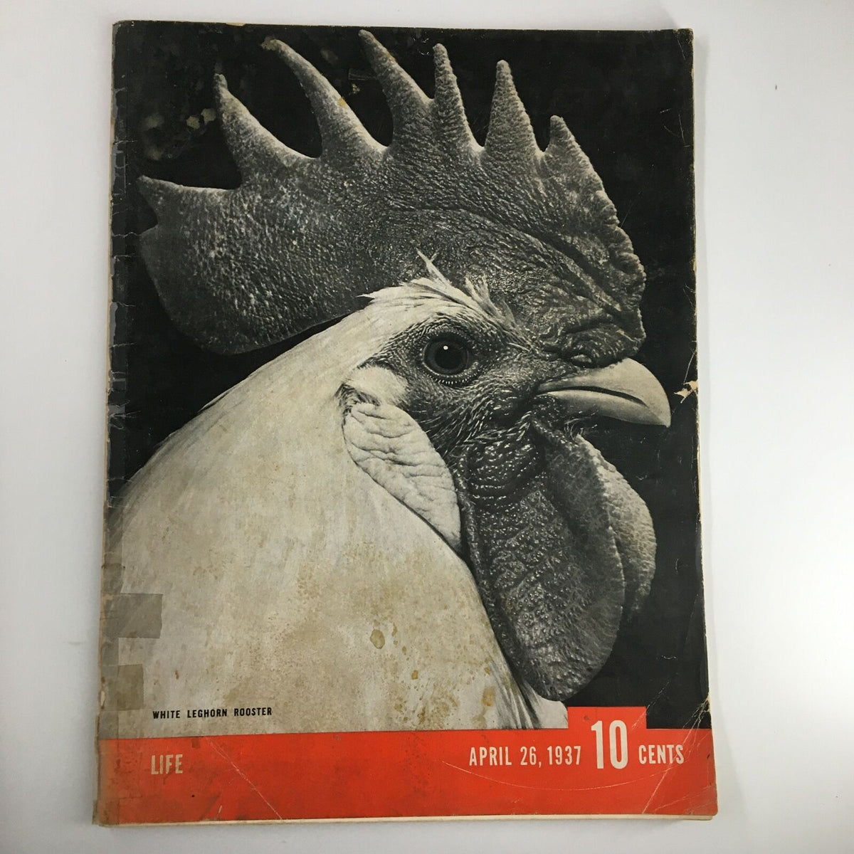 Cover of VTG Life Magazine April 26 1937 featuring a striking close-up of a White Leghorn Rooster, showcasing its detailed features.