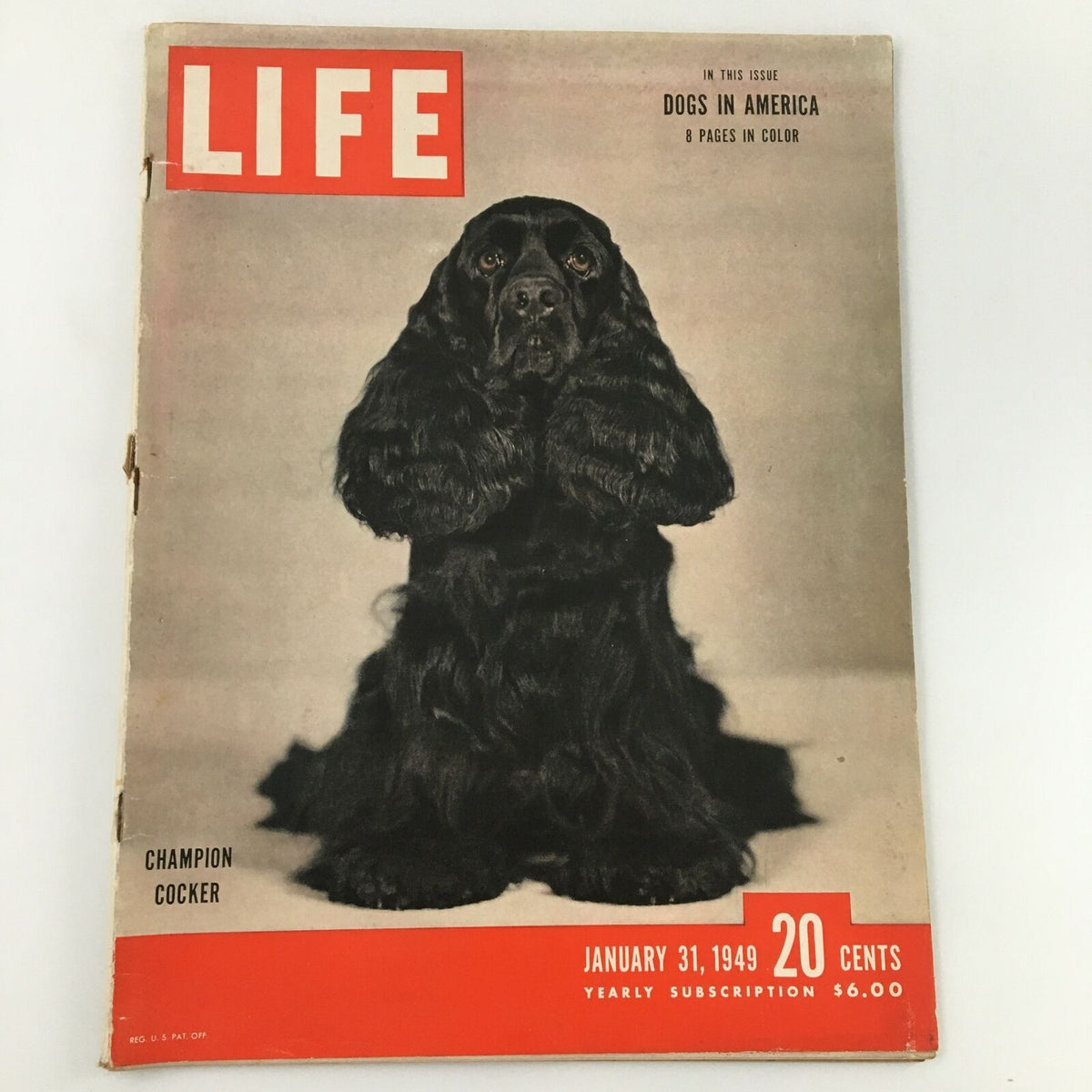Life Magazine January 31 1949 Issue Featuring Champion Cocker Dogs in America