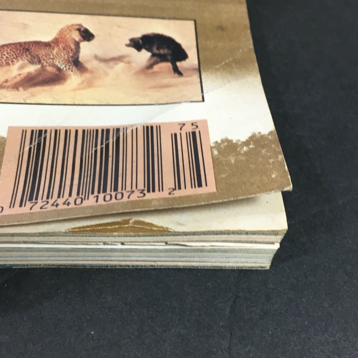 Close-up of the back cover of VTG Life Magazine September 1986, displaying a barcode and a faded illustration of cheetahs and a small animal.