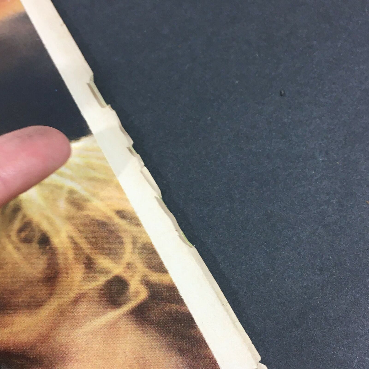 Side view of VTG Life Magazine from September 19, 1969, highlighting the worn edge and some page curling.