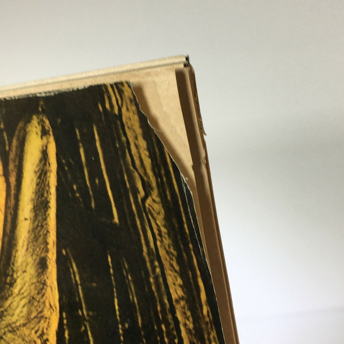 Close-up image showing the corner of the VTG Life Magazine from May 31, 1968, depicting the grandeur of Ancient Egypt. The photo highlights minor wear on the magazine’s edge, indicative of its vintage nature.