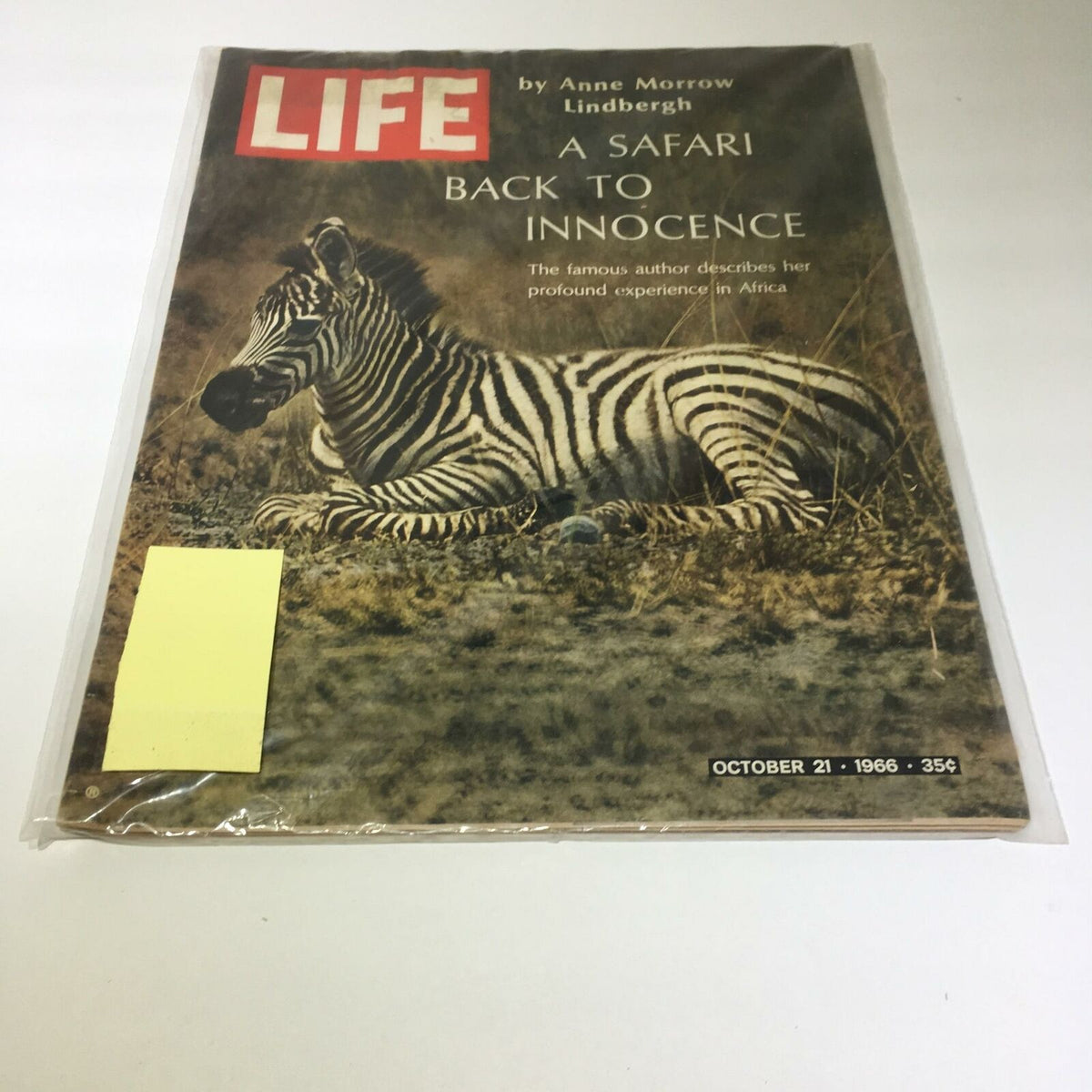 Vintage Life Magazine cover from October 21, 1966, titled 'A Safari Back to Innocence,' featuring a zebra lying in a natural setting, highlighting themes of exploration and nostalgia.