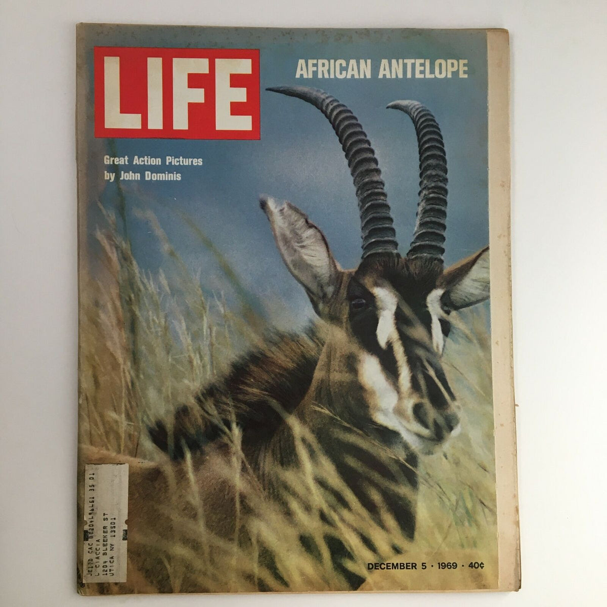 Life Magazine cover featuring an African antelope, dated December 5, 1969, showcasing a great action picture by John Dominis.