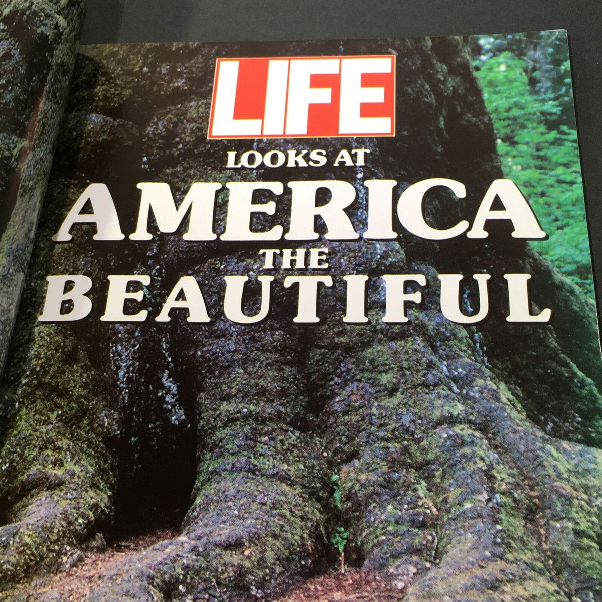 Interior page of the vintage 1990 issue of Life Magazine titled 'Looks At America The Beautiful', featuring lush green landscapes.