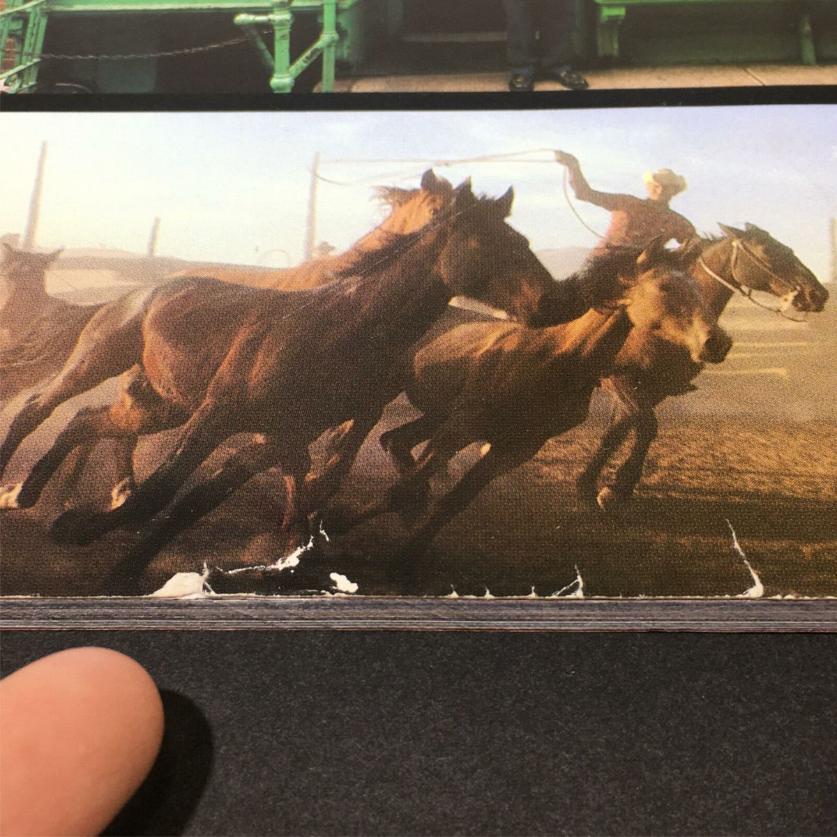Detailed view of a section from the vintage 1990 issue of Life Magazine titled 'Looks At America The Beautiful', featuring galloping horses.