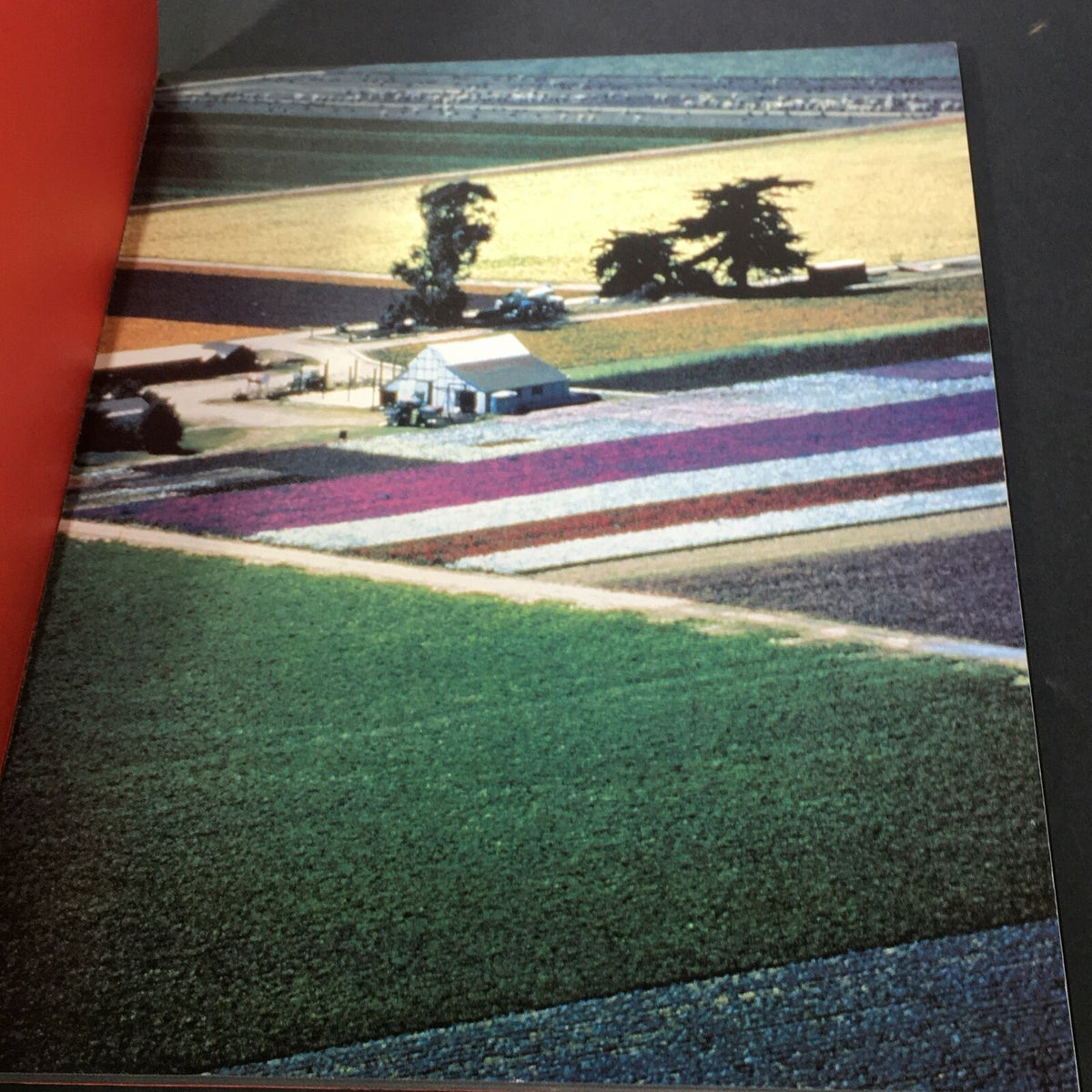 Interior page from VTG Life 1990 The Time Inc. Magazine Company - Looks At America The Beautiful, showcasing an aerial view of a patriotic floral field.