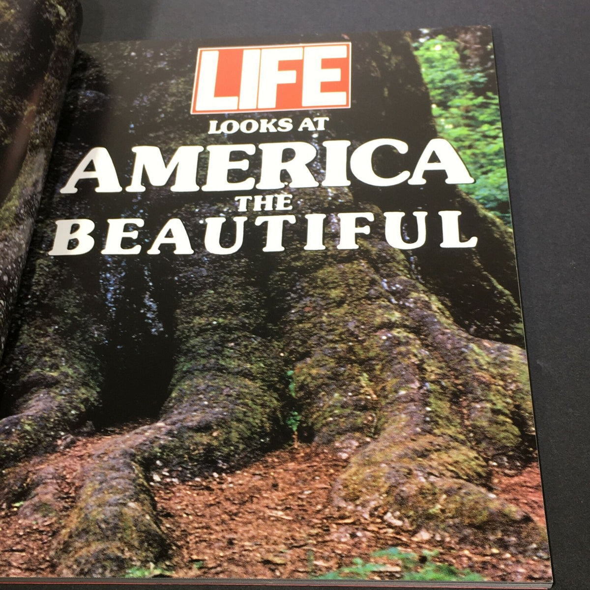 Interior page from VTG Life 1990 The Time Inc. Magazine Company - Looks At America The Beautiful, featuring a moss-covered tree bark.
