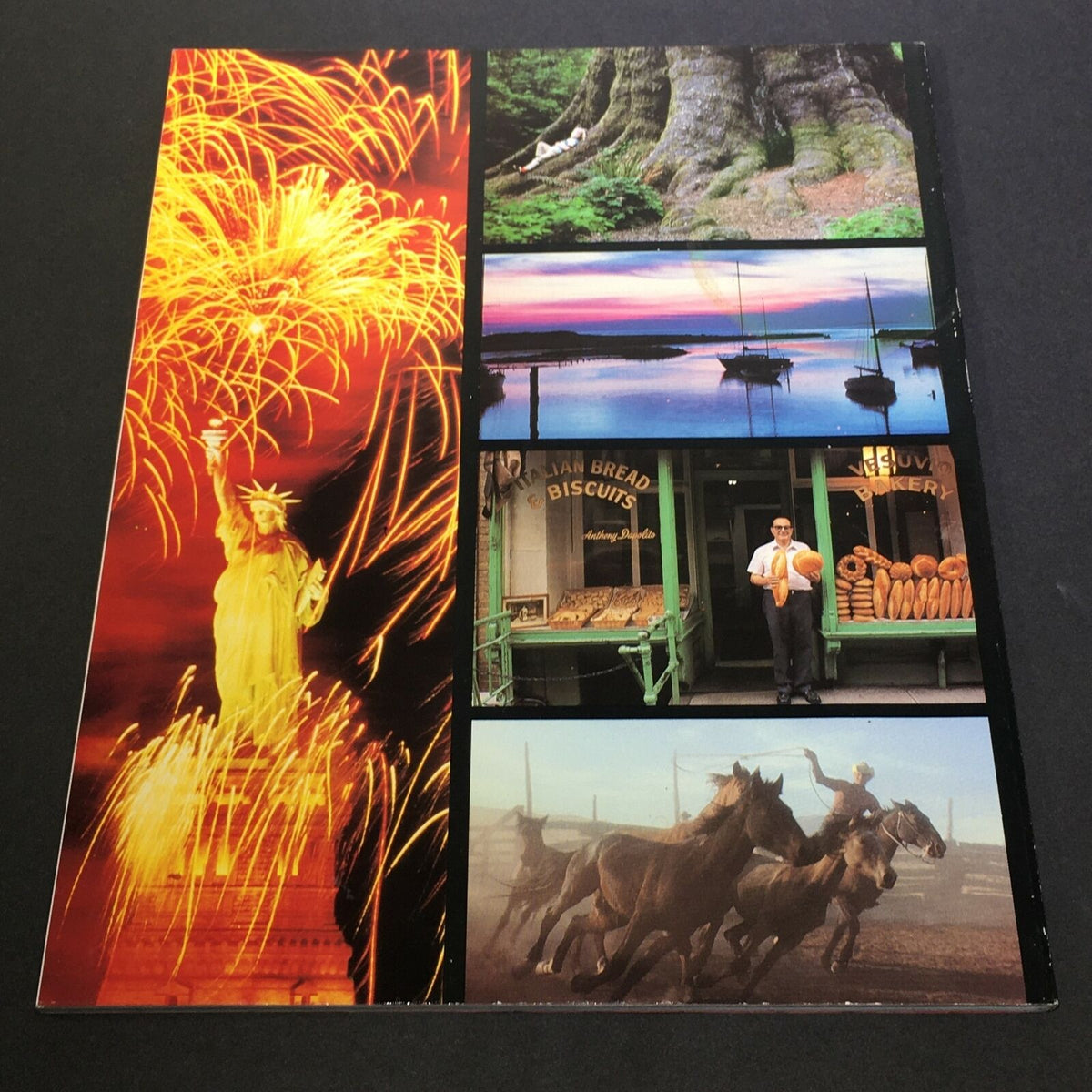 Cover image of VTG Life 1990 The Time Inc. Magazine Company - Looks At America The Beautiful, showcasing stunning visuals including fireworks at the Statue of Liberty, scenic landscapes, and iconic American cultural moments.
