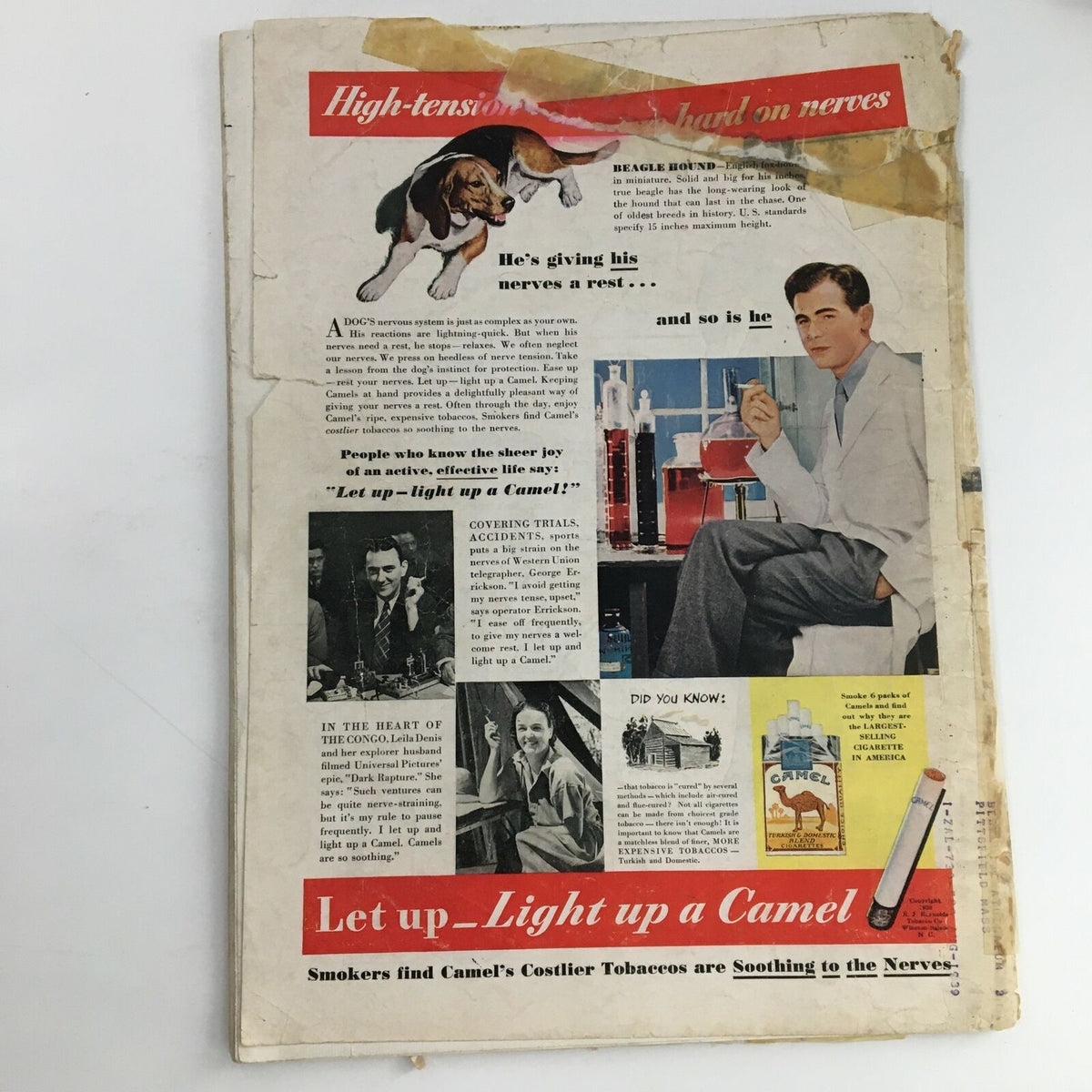 Back cover of Time Magazine from November 21, 1938, Vol 32 #24 with vintage advertisements and wear, representing the historical context of the era.
