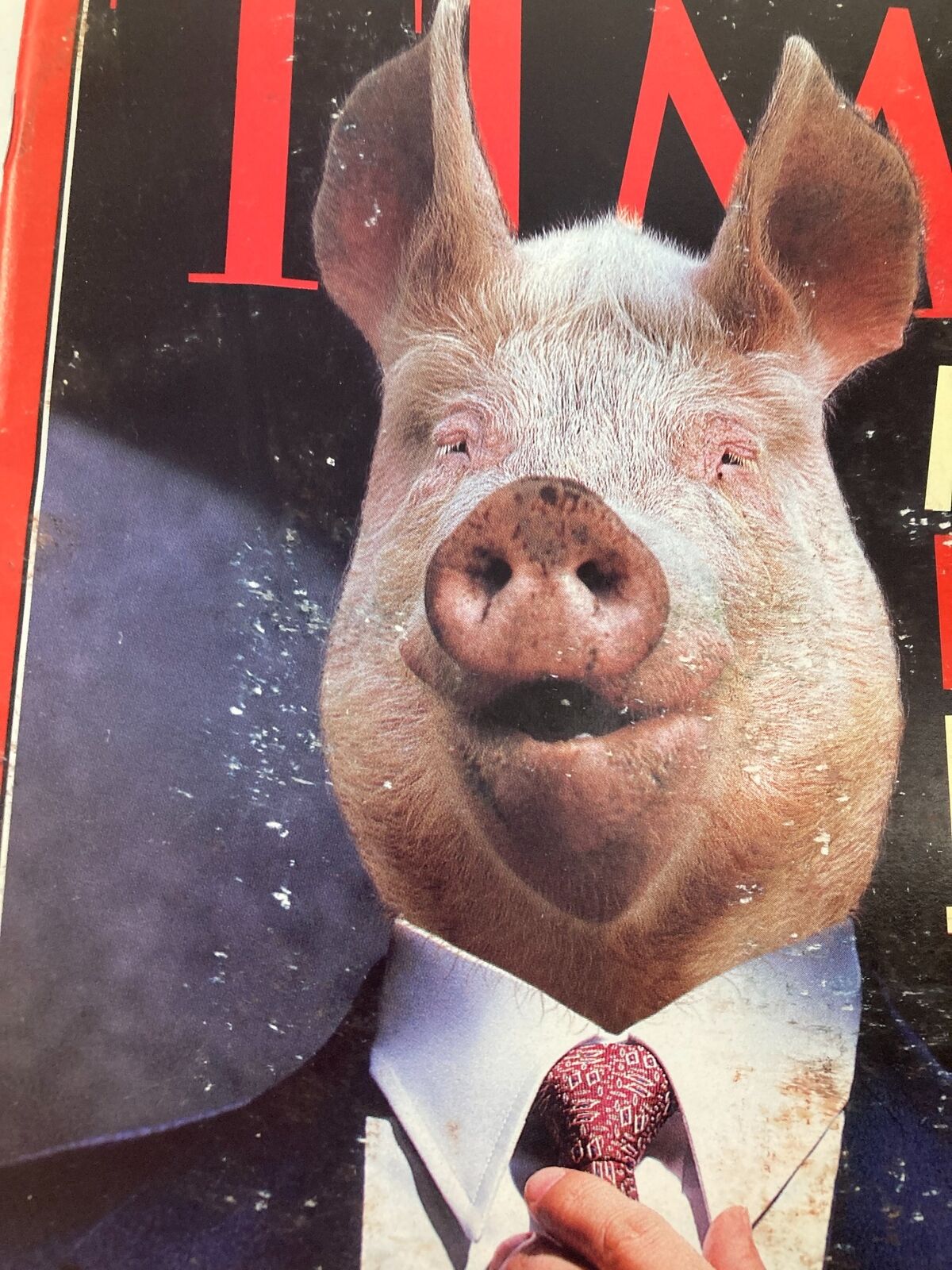 Close-up view of the Time Magazine cover from February 14, 1994, showcasing a pig in a business suit, highlighting the provocative title 'Are Men Really That Bad?' by Lance Morrow.
