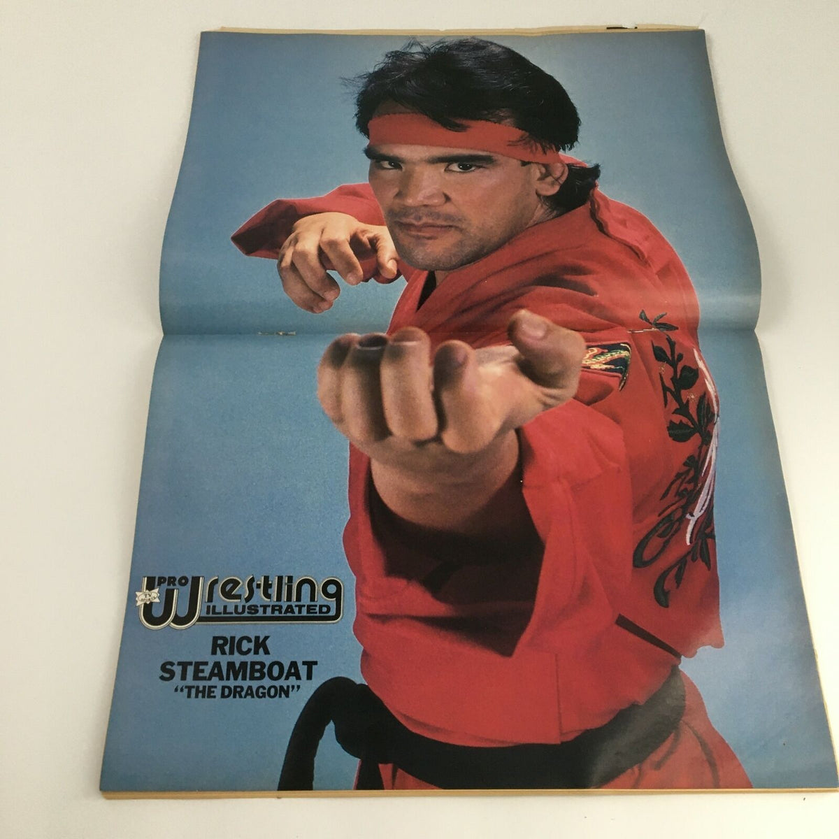 Cover image of Pro Wrestling Illustrated Magazine June 1989 featuring Rick Steamboat, known as 'The Dragon', in a striking pose and vibrant red attire.