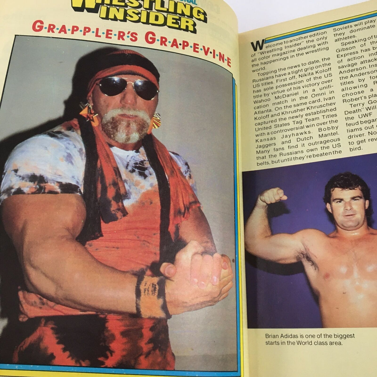 Wrestling Insider Magazine March 1987 featuring Grappler's Grapevine column with a muscular wrestler wearing sunglasses and a headband.