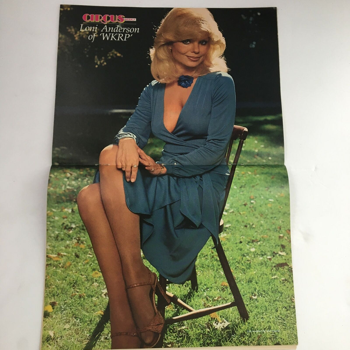 Poster of Loni Anderson from the March 6, 1979 issue of Circus Magazine, showcasing her iconic look and role in WKRP.