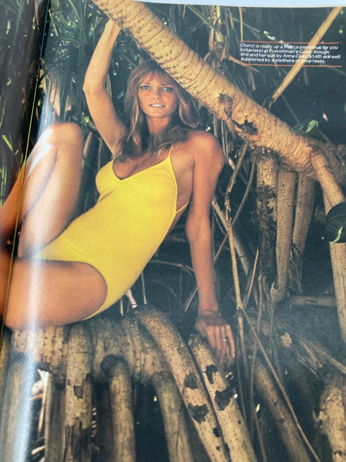 Cheryl Tiegs featured in a yellow swimsuit, posing in a natural setting, from the February 14, 1983 Sports Illustrated Magazine, exemplifying fashion in the early '80s.
