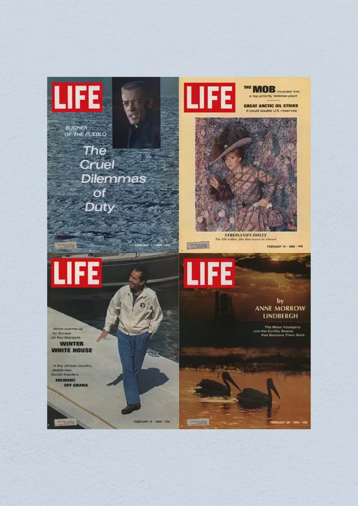 February 28, 1969 cover of Life Magazine discussing themes of exploration and nature, with a striking image of pelicans, emblematic of the era's socio-political landscape.