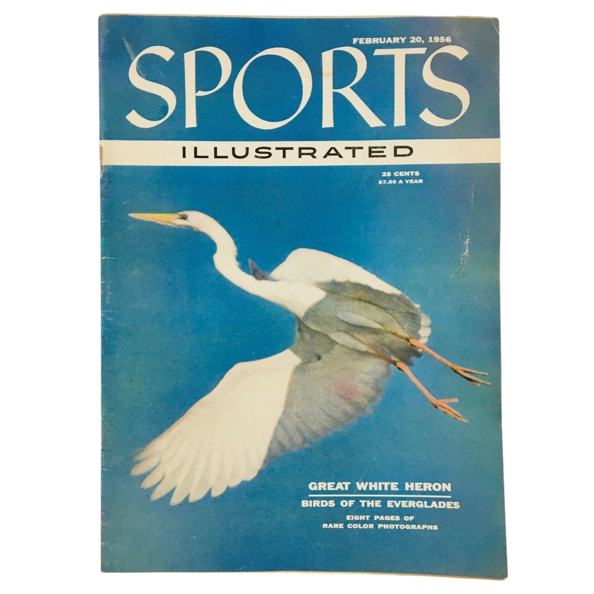 1956 Sports Illustrated Magazine featuring Great White Heron from Birds of the Everglades, part of the 1950s Sports Illustrated Magazine Collection.