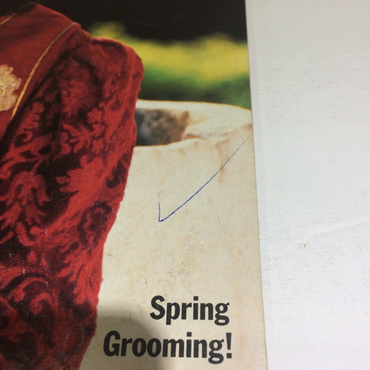 Close up of the APRIL 1989 Vintage Ebony Magazine cover highlighting the text 'Spring Grooming!' alongside Michael Jackson's attire.
