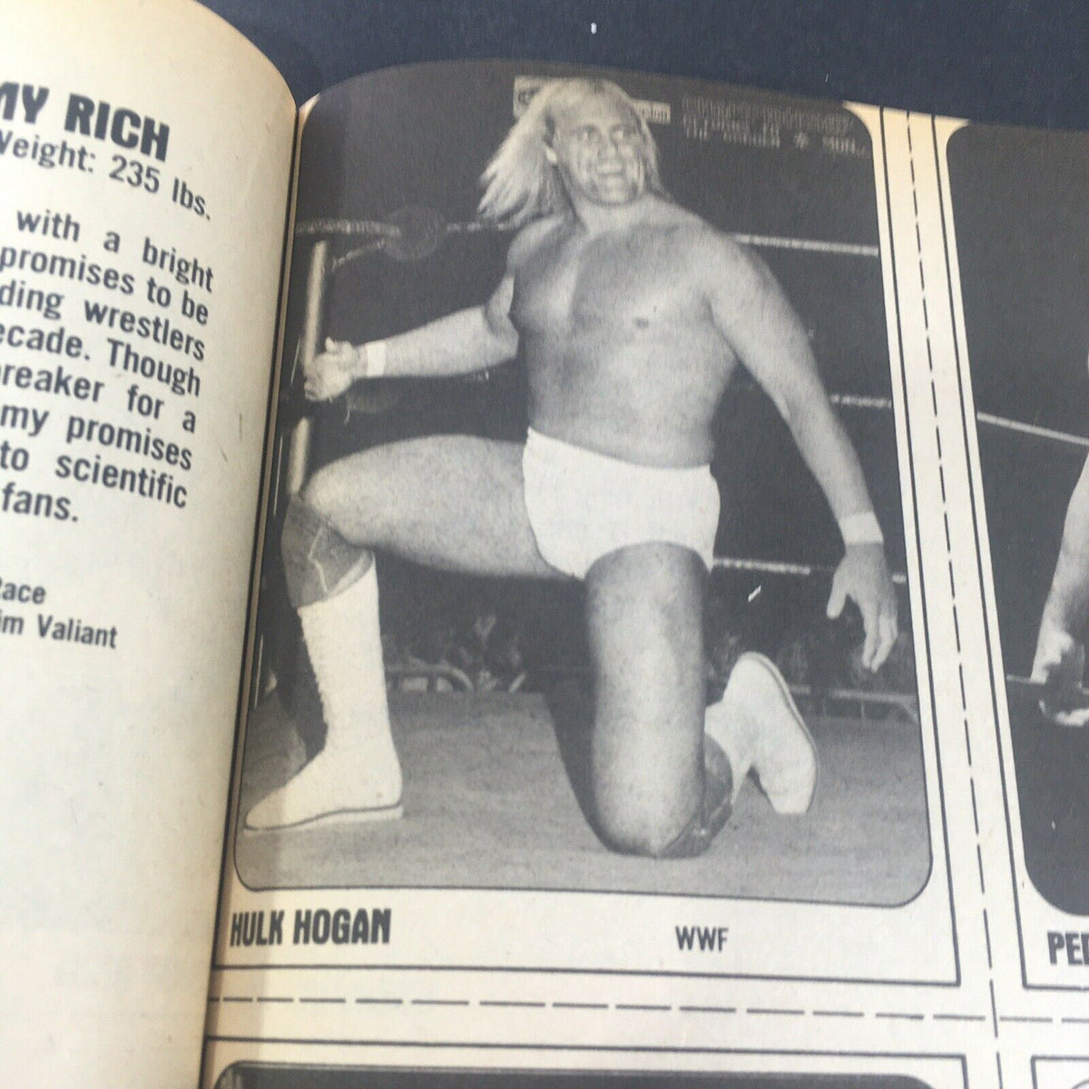Image of Hulk Hogan from the VTG Wrestling Superstars Magazine Summer 1981, showcasing the iconic WWE wrestler in action during a match, highlighting his athleticism and charismatic persona.