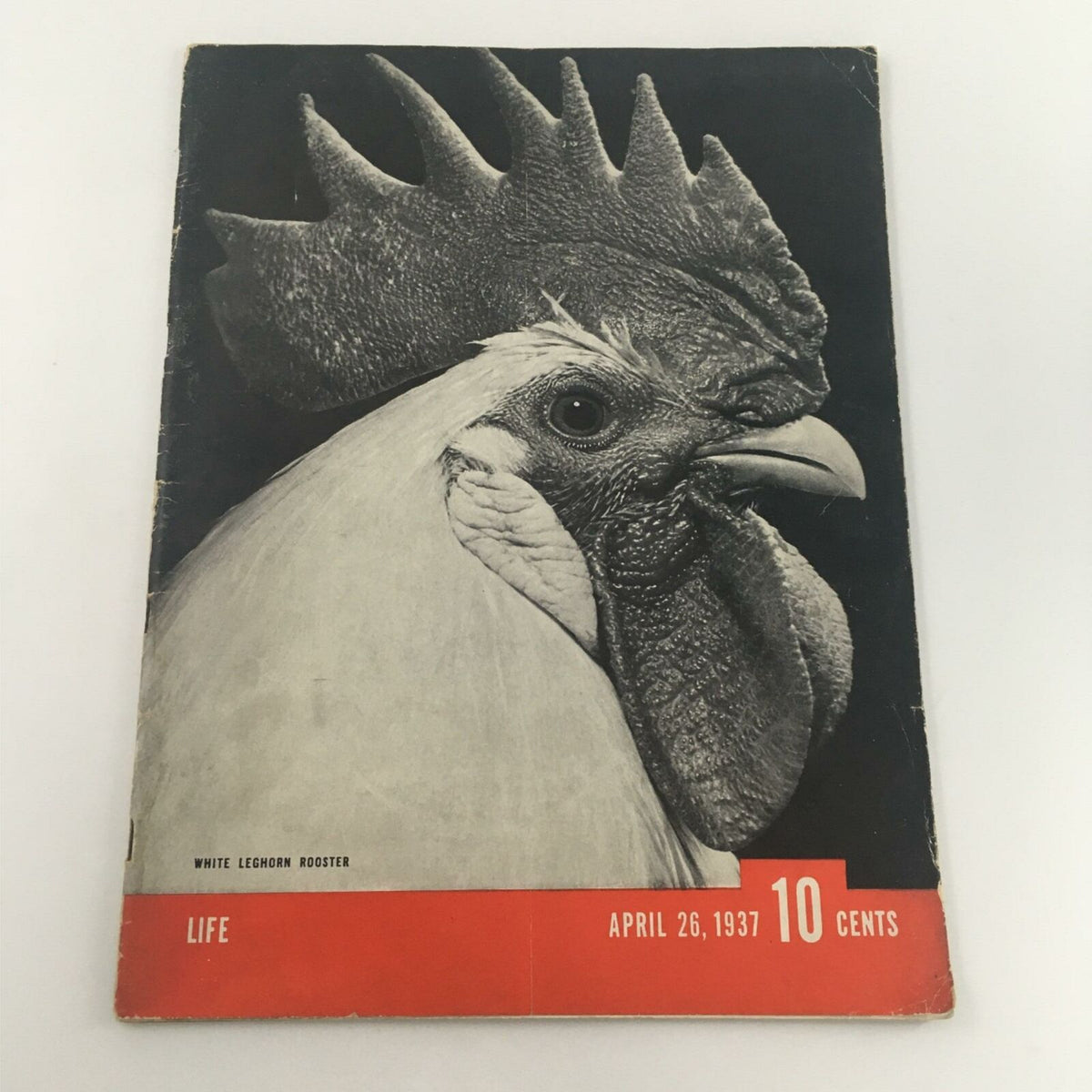 Cover of VTG Life Magazine from April 26, 1937, featuring a close-up image of a White Leghorn Rooster, showcasing the vintage design and historical significance.