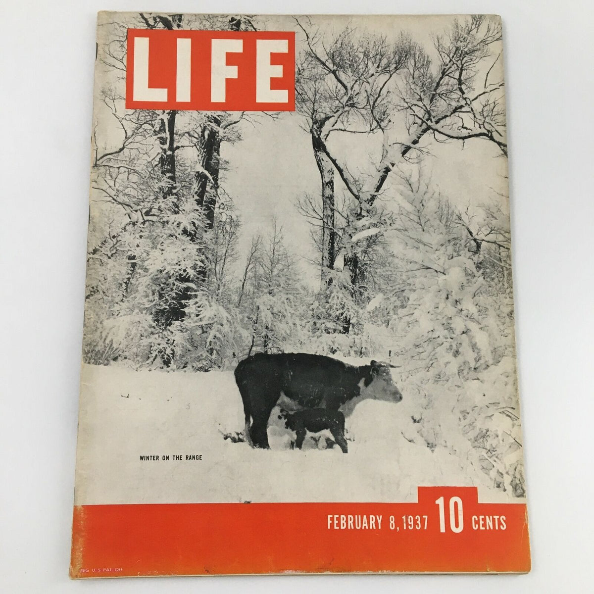 VTG Life Magazine February 8 1937 cover featuring a snowy landscape and a grazing cow, highlighting the article 'Winter on the Range'. This vintage publication offers a glimpse into historic American winter life.