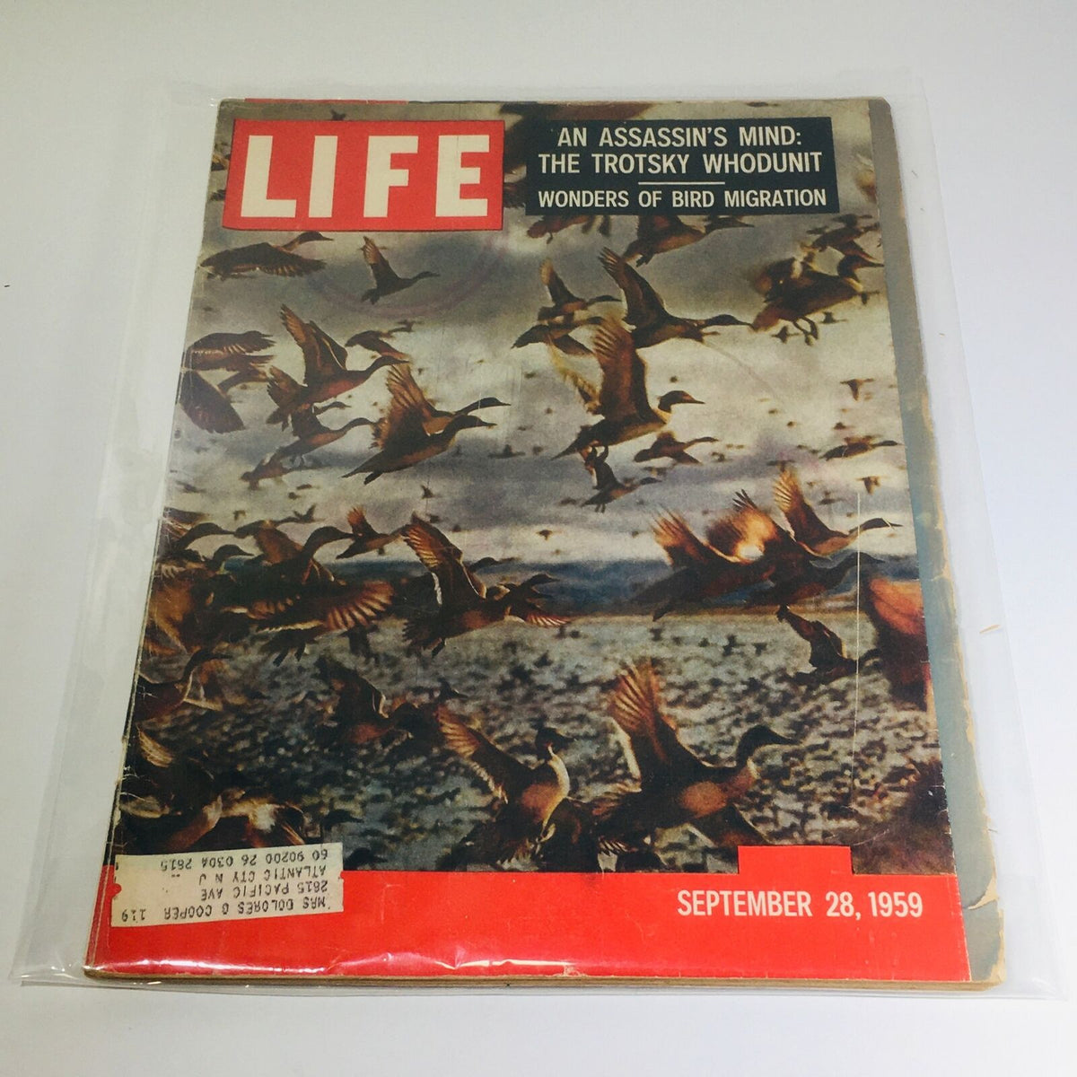 VTG Life Magazine: Sept 28, 1959 cover featuring 'The Trotsky Whodunit' and 'Wonders of Bird Migration' with flocks of birds and vintage design.