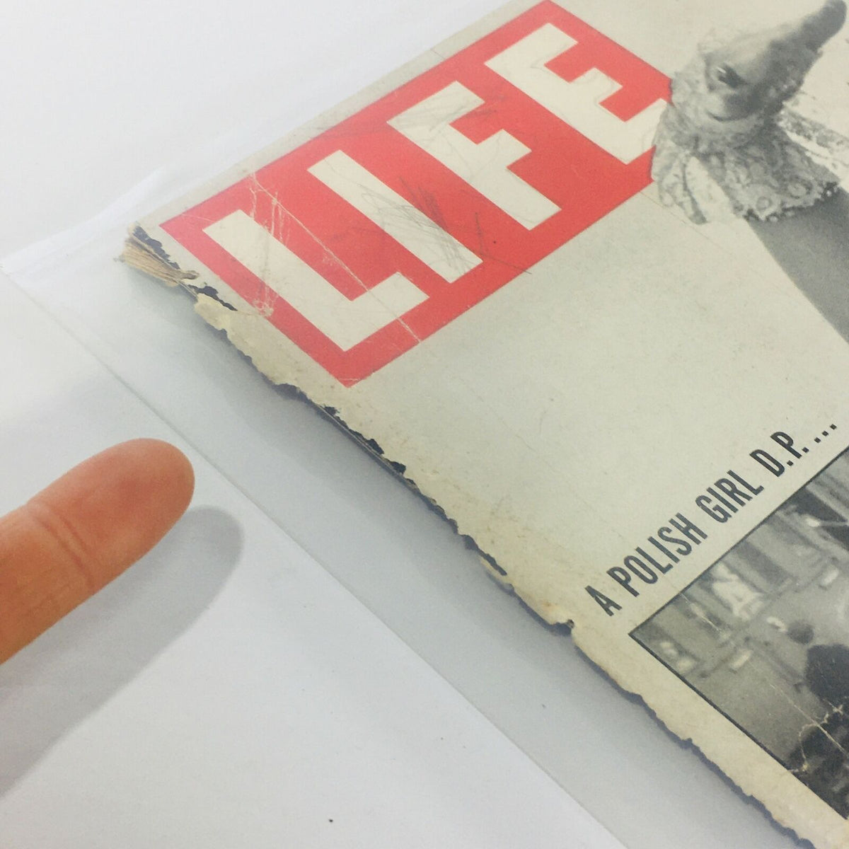 Close-up view of the cover of VTG Life Magazine dated December 15, 1952, featuring the headline about a Polish girl becoming the College Queen, showing signs of wear and protective plastic covering.