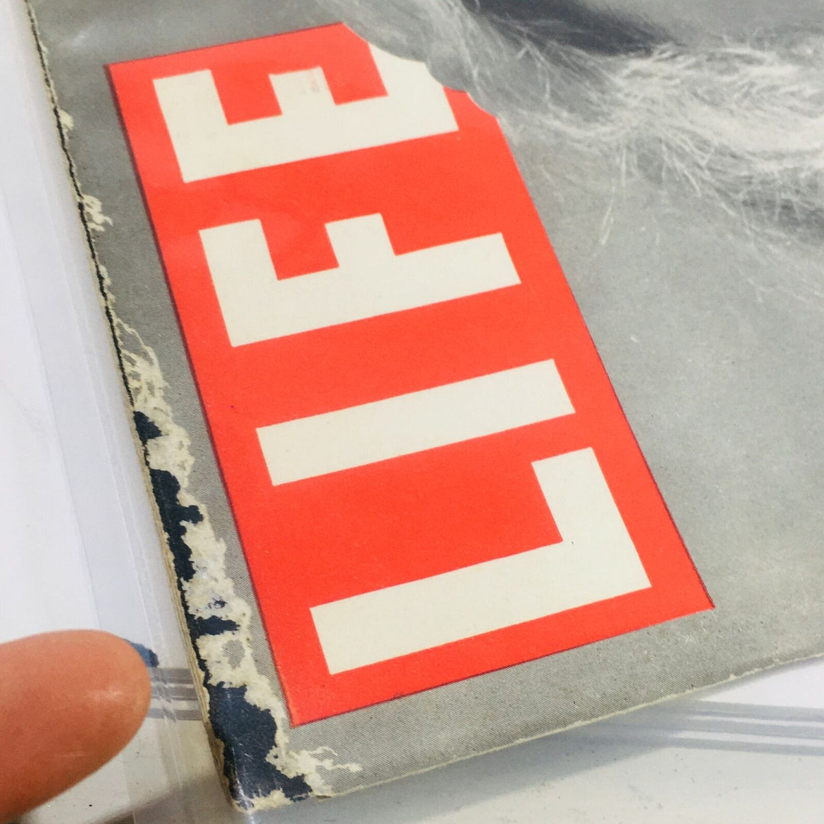 Life Magazine July 8 1946: Basque Shirt, Super Planes, Ethel Merman, Circus Articles