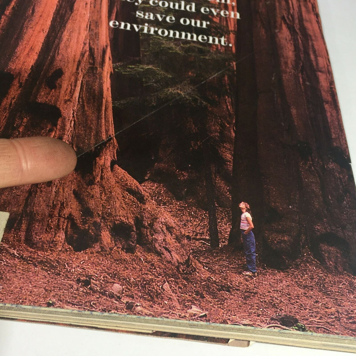 Another close-up view of VTG Life Magazine May 1990, showcasing a detail of the cover where a figure admires towering trees. The text reads, 'They could even save our environment', illustrating the magazine's conservation message.