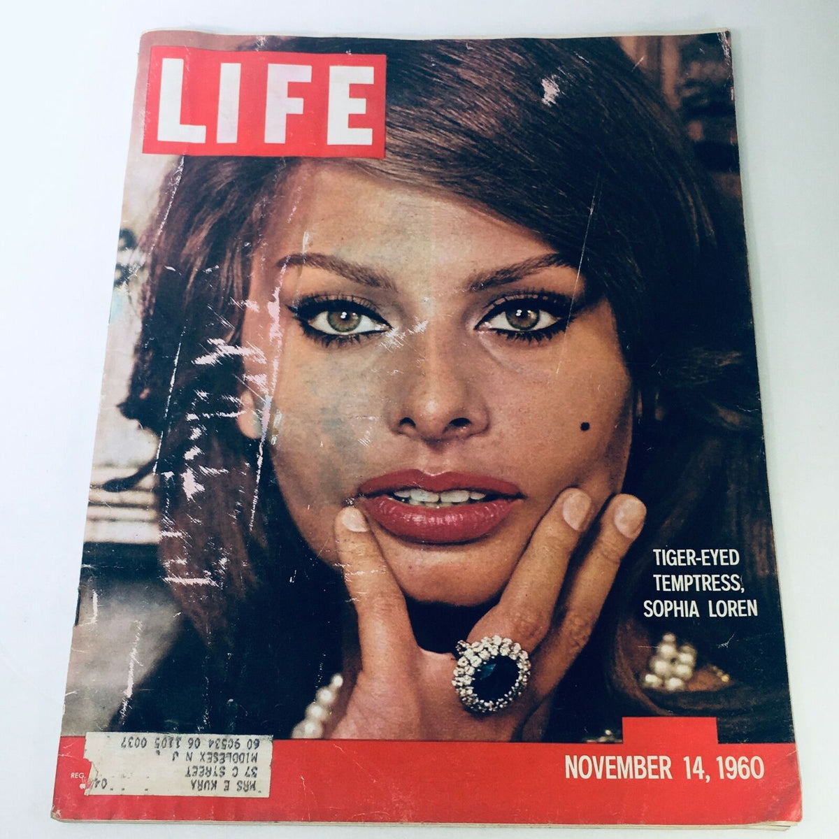 Vintage Life Magazine cover from November 14, 1960 featuring the tiger-eyed temptress Sophia Loren, showcasing Hollywood glamour.