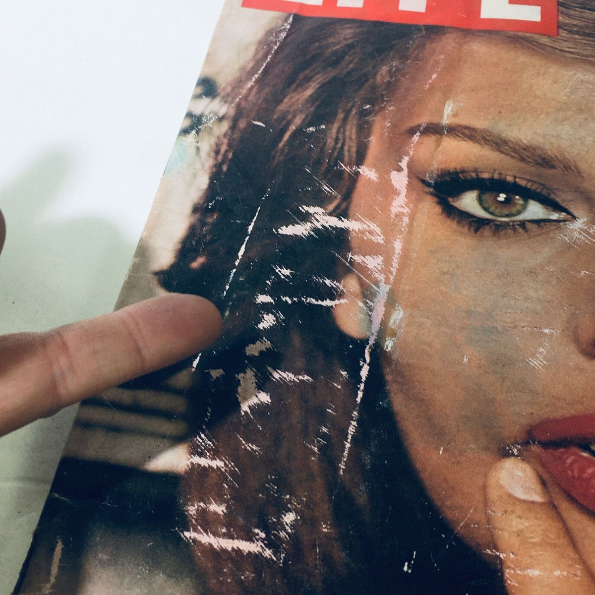 Close-up of vintage Life Magazine cover from November 14, 1960, emphasizing wear and tear on the image of Sophia Loren.
