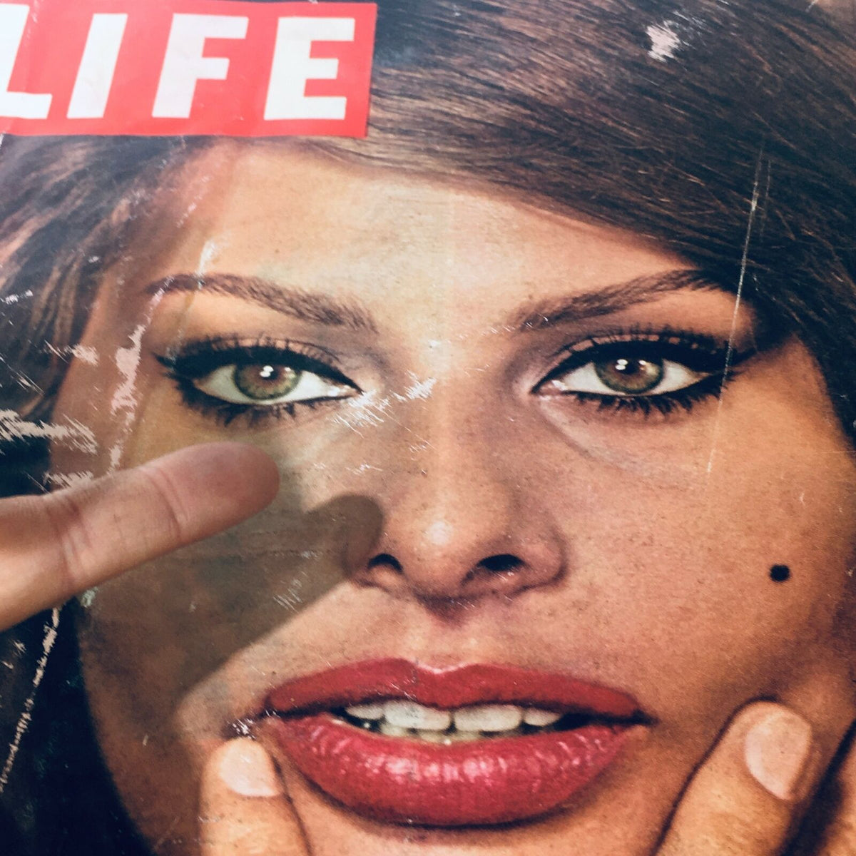Detailed view of the vintage Life Magazine from November 14, 1960 featuring Sophia Loren, showcasing her captivating expression.