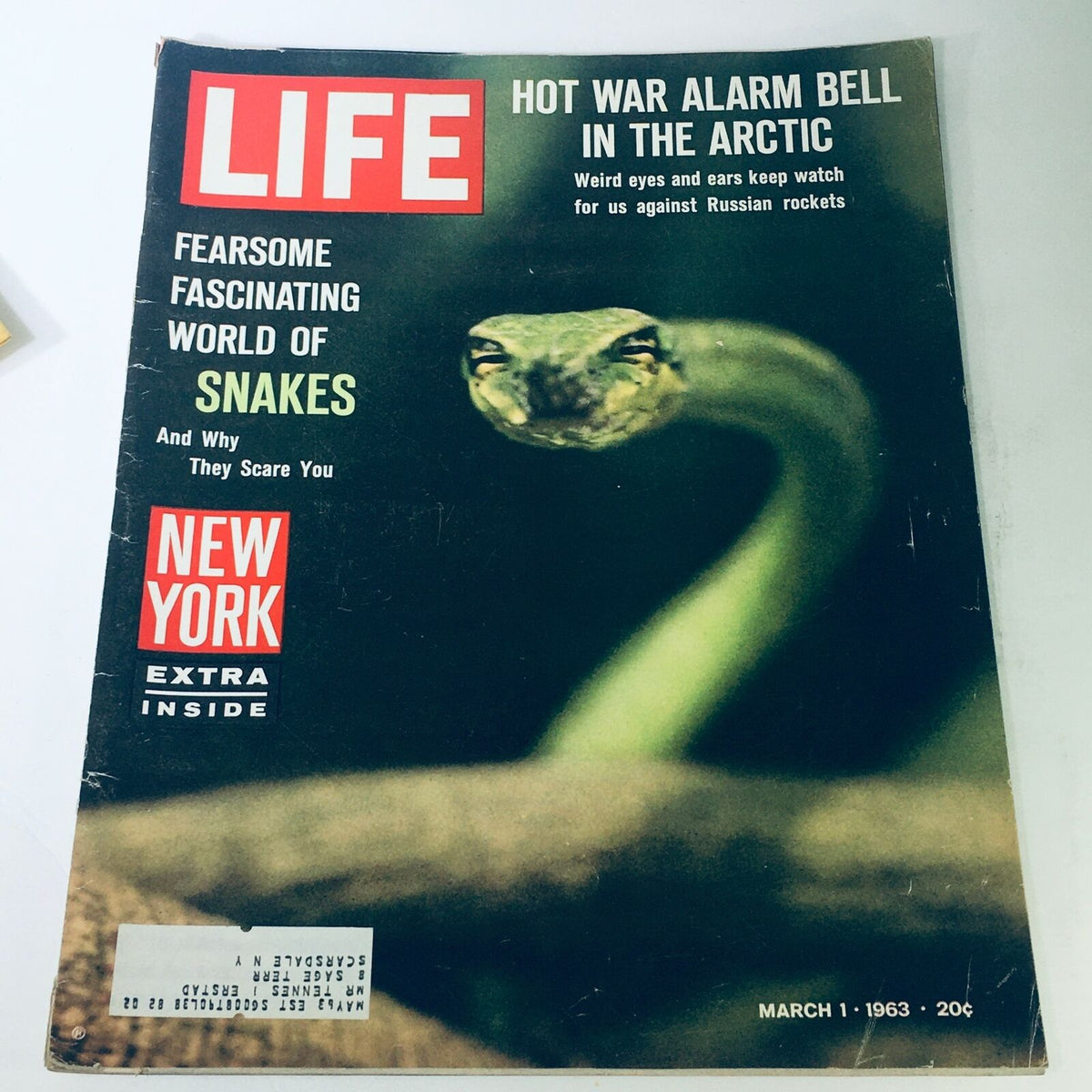 Cover of VTG Life Magazine March 1 1963 featuring the title 'Fearsome Fascinating World of Snakes', showcasing an artistic image of a snake.