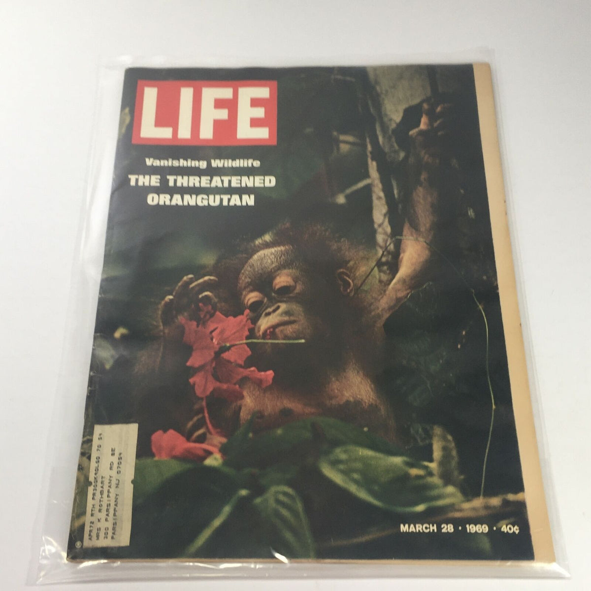 VTG Life Magazine Cover from March 28, 1969, featuring a young orangutan in a vibrant setting, highlighting the theme 'Vanishing Wildlife: The Threatened Orangutan'.
