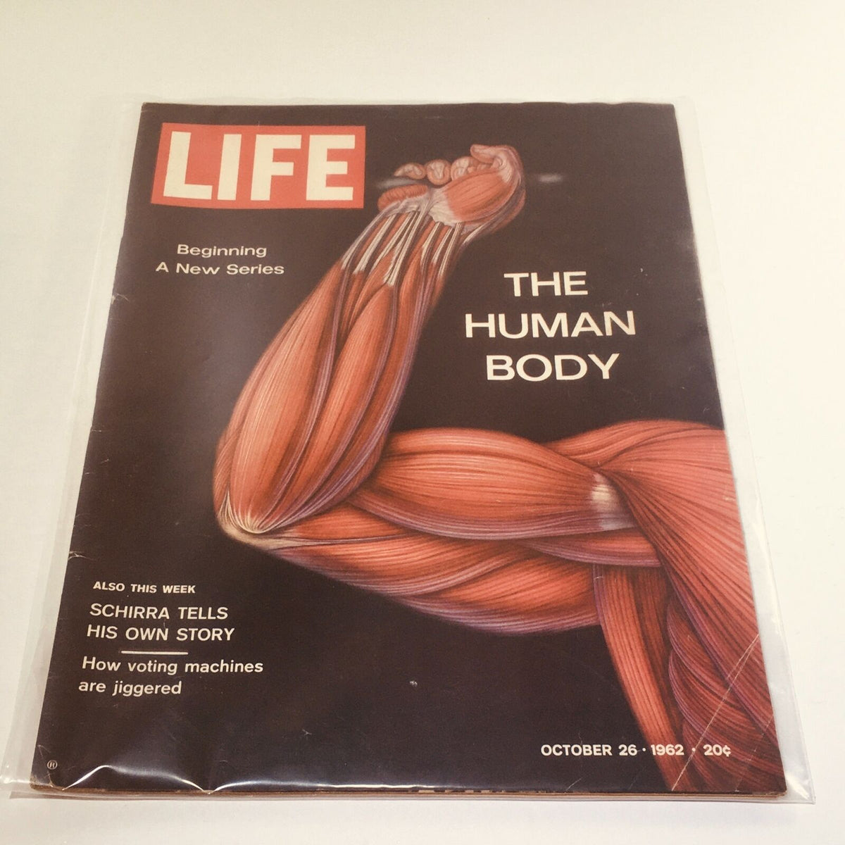 Cover of VTG Life Magazine from October 26, 1962, featuring an illustration of the human muscle structure, with the title "THE HUMAN BODY" and the subtitle "Schirra Tells His Own Story."