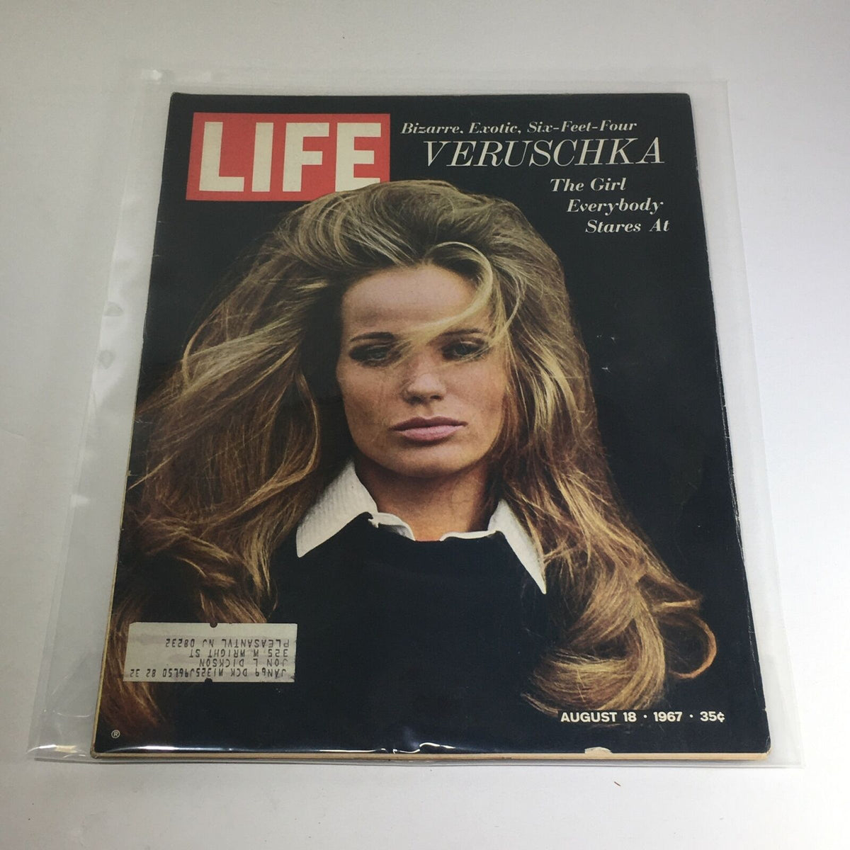 Life Magazine cover featuring Veruschka von Lehndorff from August 18, 1967 - 'The Girl Everybody Stares At' with highlights on her iconic beauty.