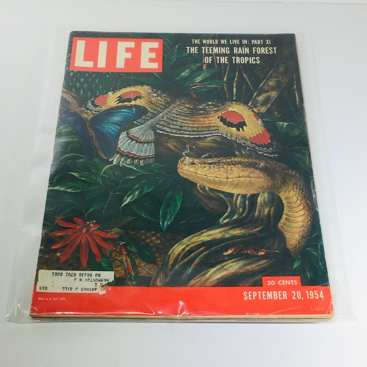 Vintage Life Magazine cover from September 20, 1954, featuring Part XI: The Teeming Rain Forest of the Tropics, showcasing colorful butterflies and a snake, encapsulating the beauty of tropical wildlife.